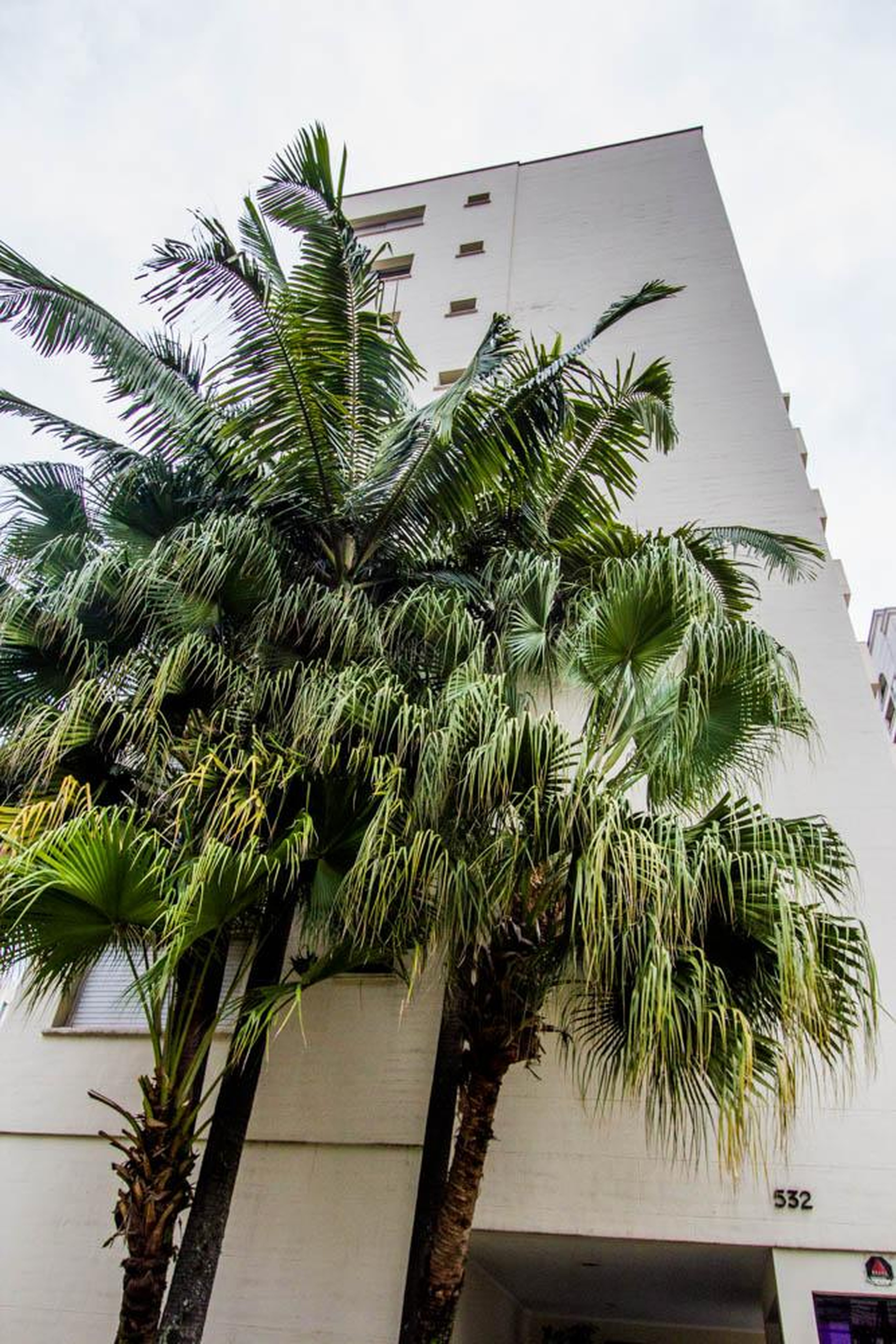 Edifício Condomínio Inhambu