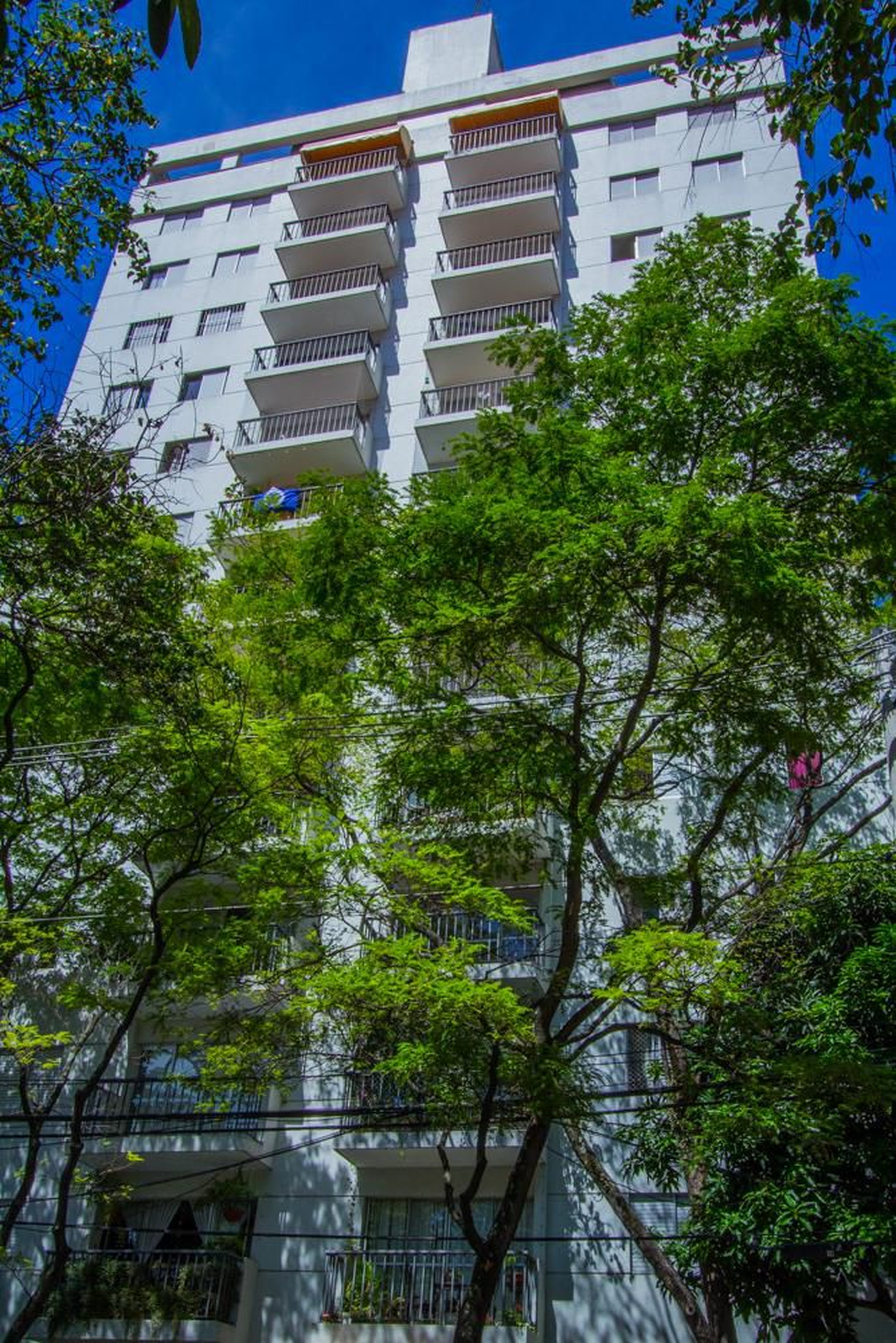 Edifício Condomínio Palma