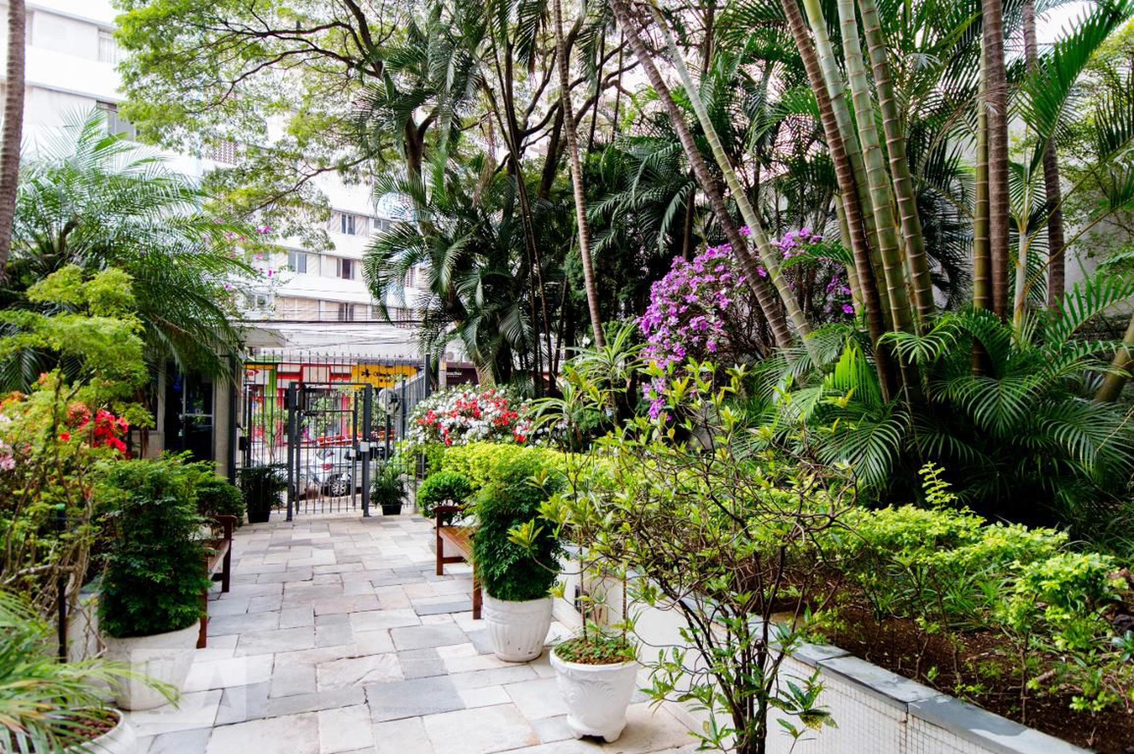 Hall social - Edifício Mirta