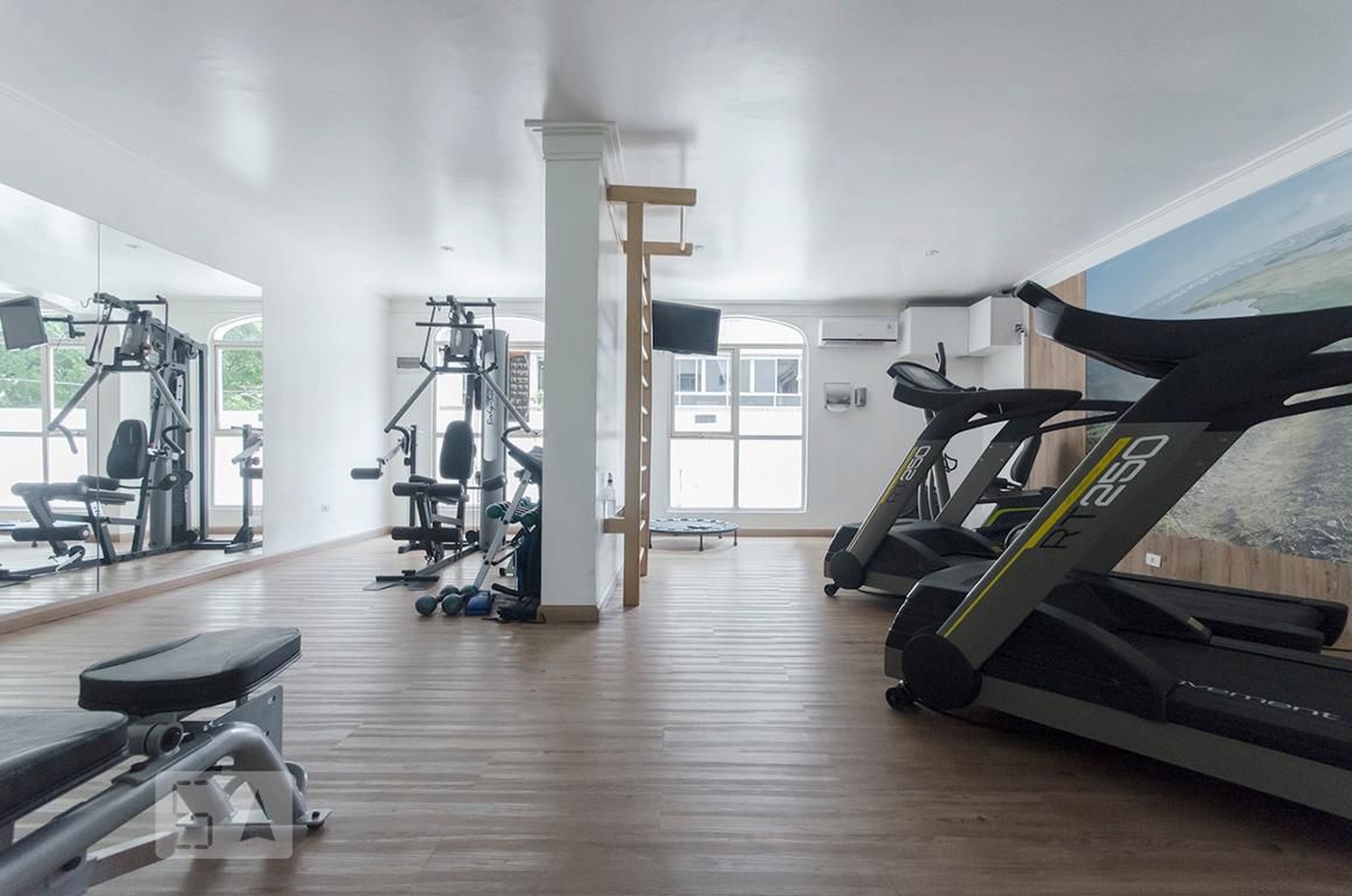 academia - Piccadily e Trafalgar