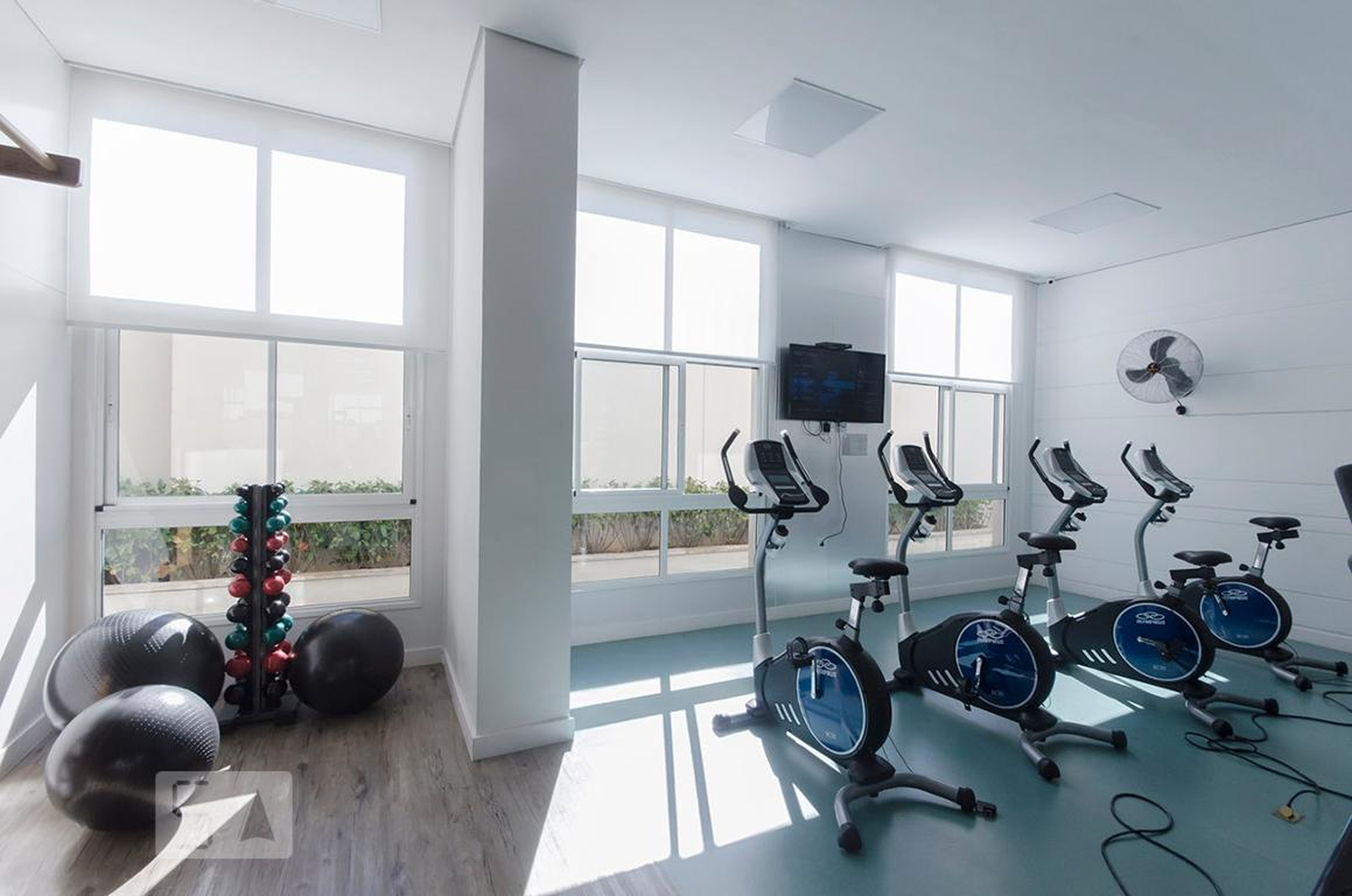 academia - Artefatto