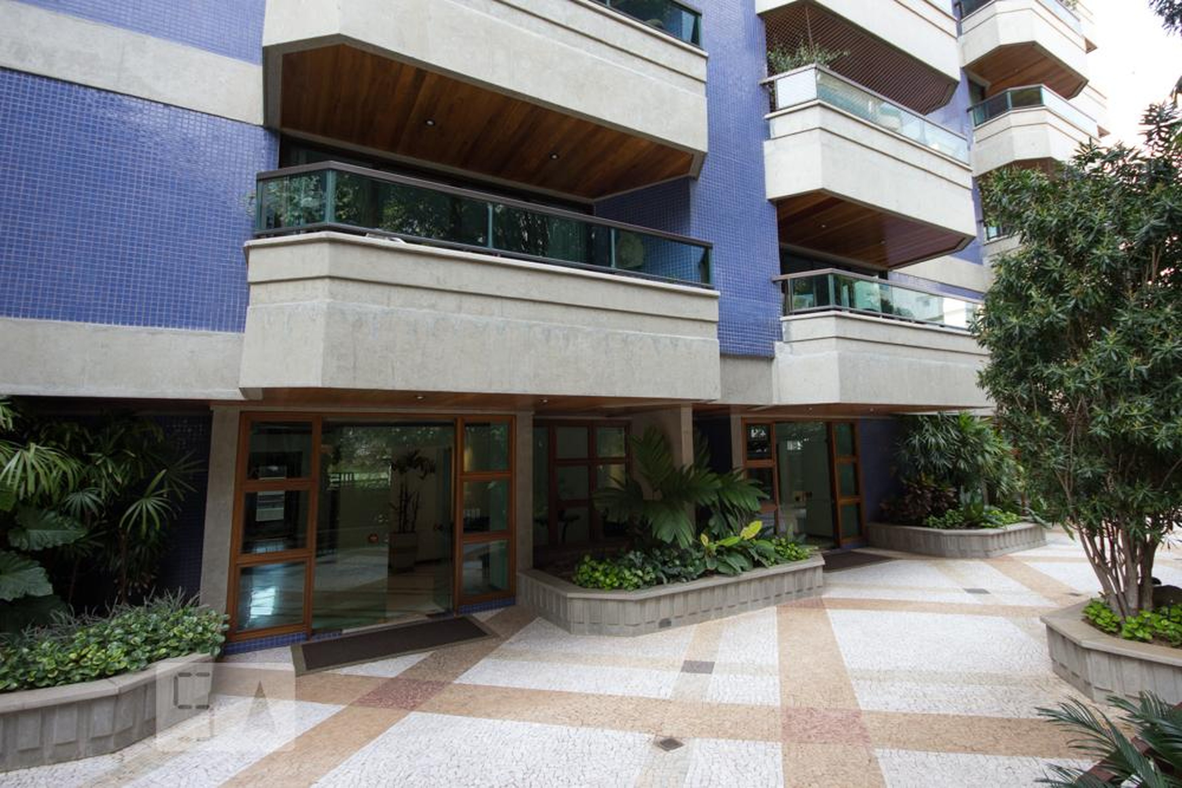 Entrada social - 