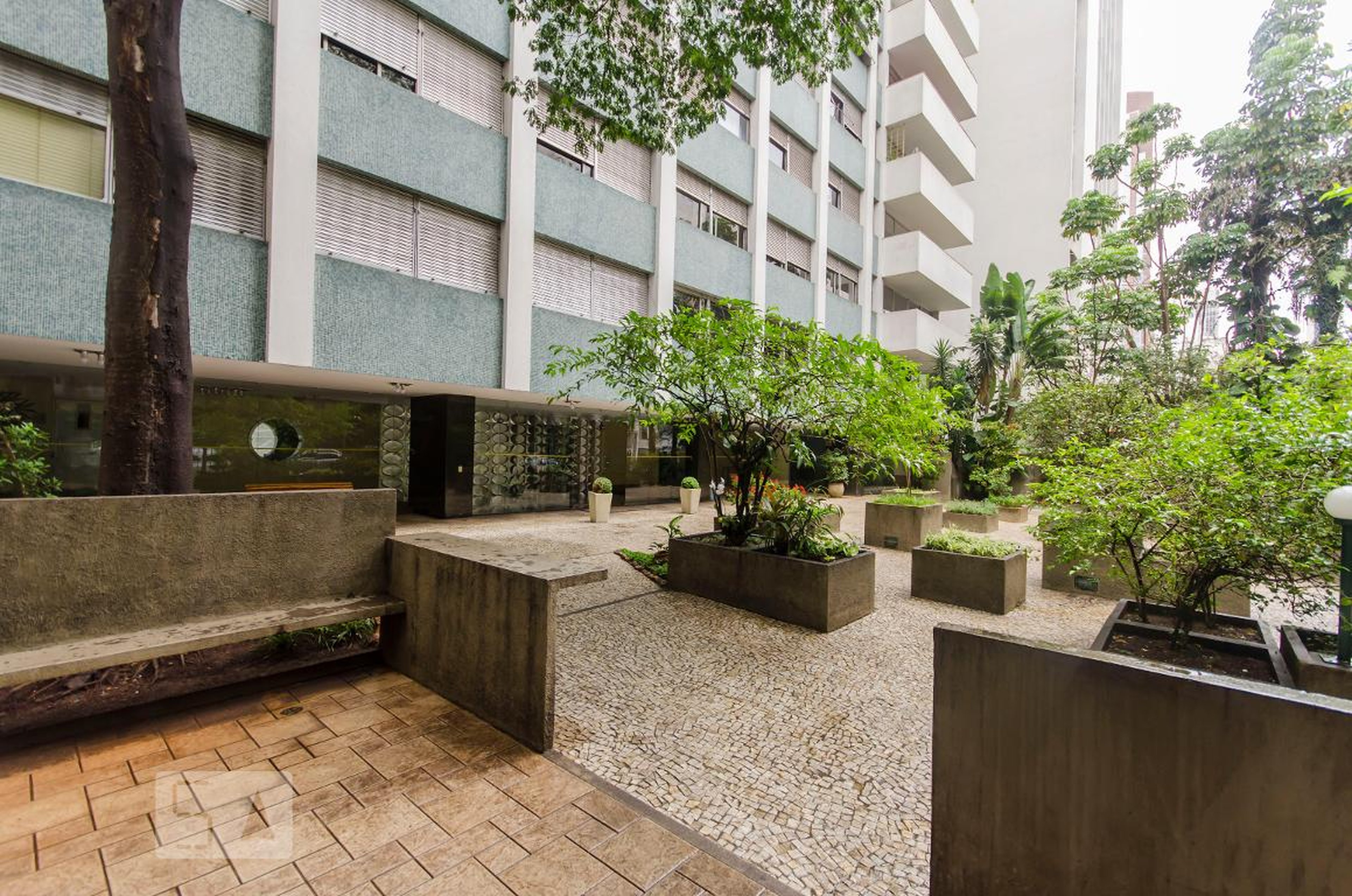 Area externa - king Alexander