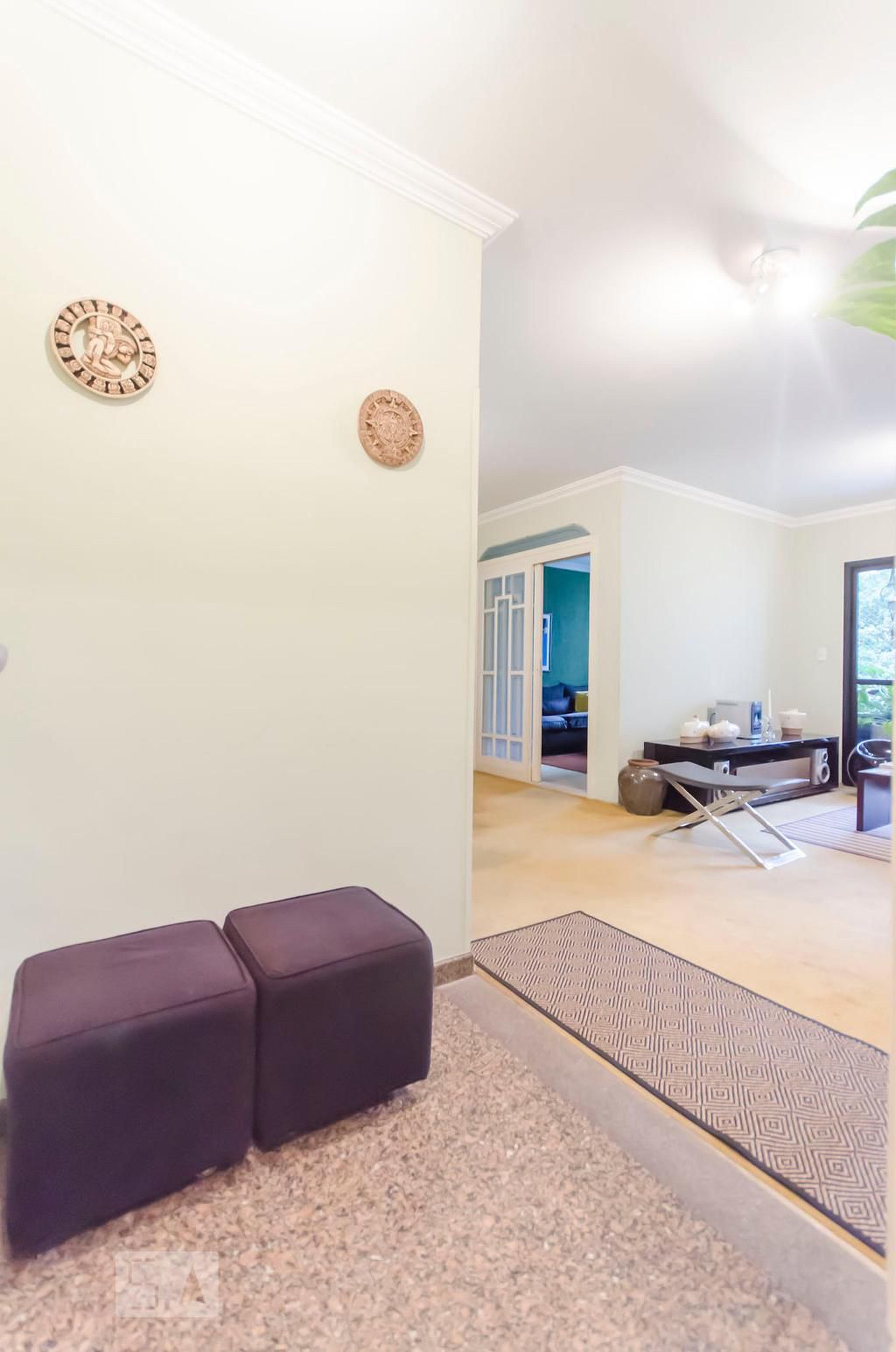 Entrada social - Braido Tower