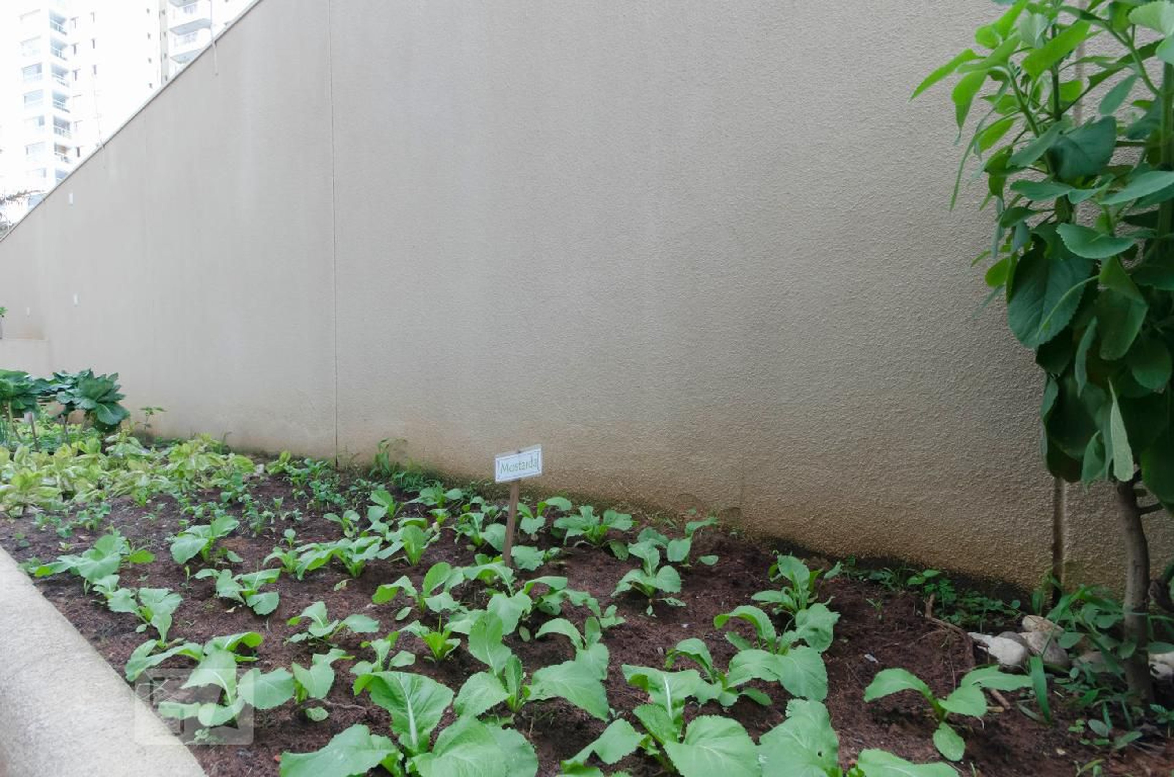 Área comum - Maurice Jarre