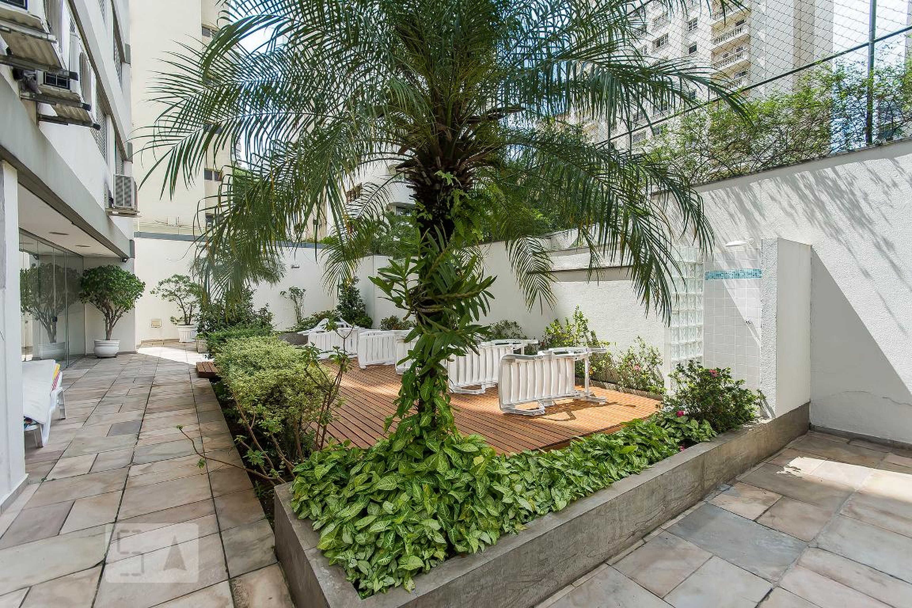 Area externa - Palomar