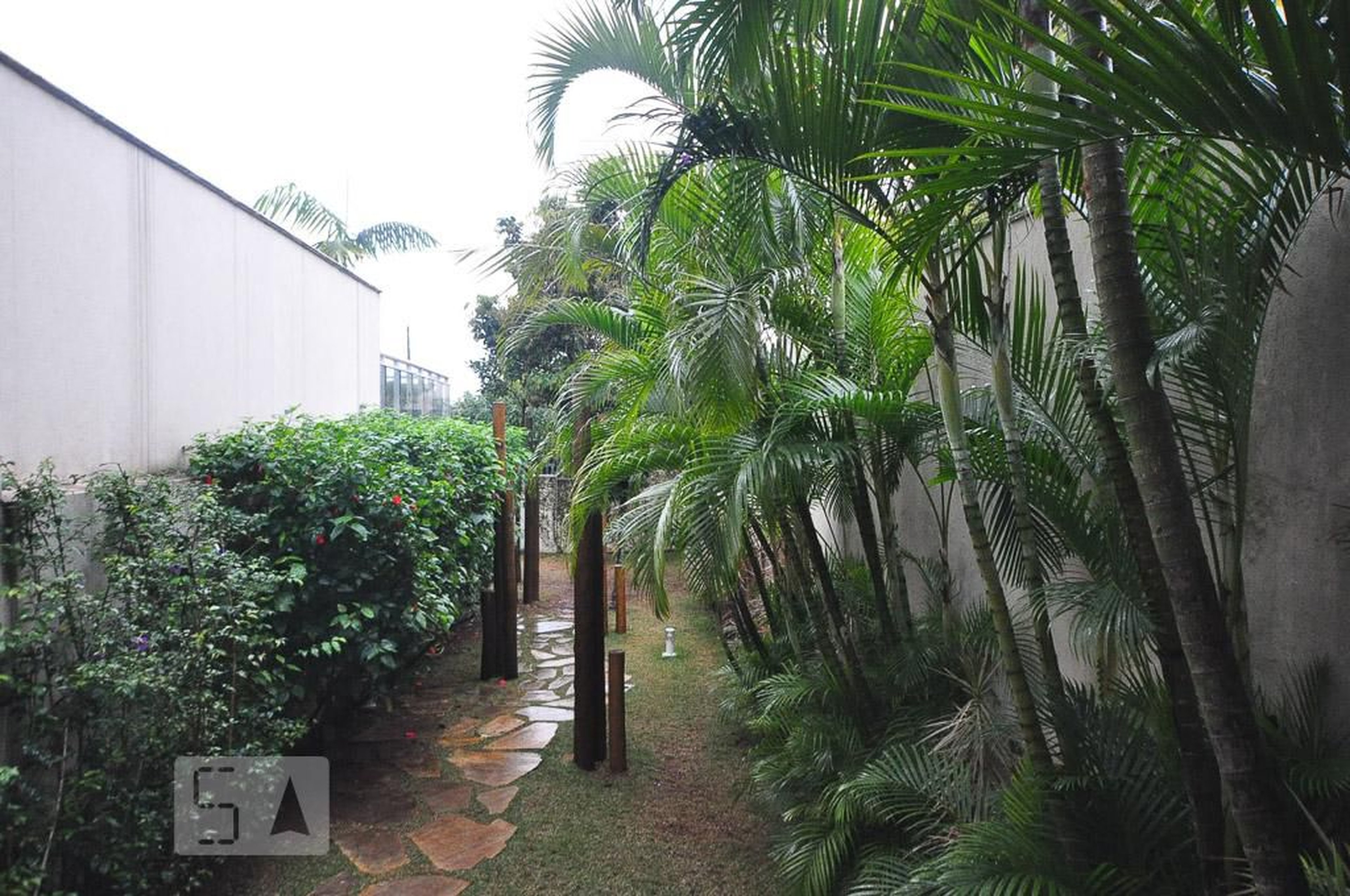 espaço pet - Smart Vila Mascote