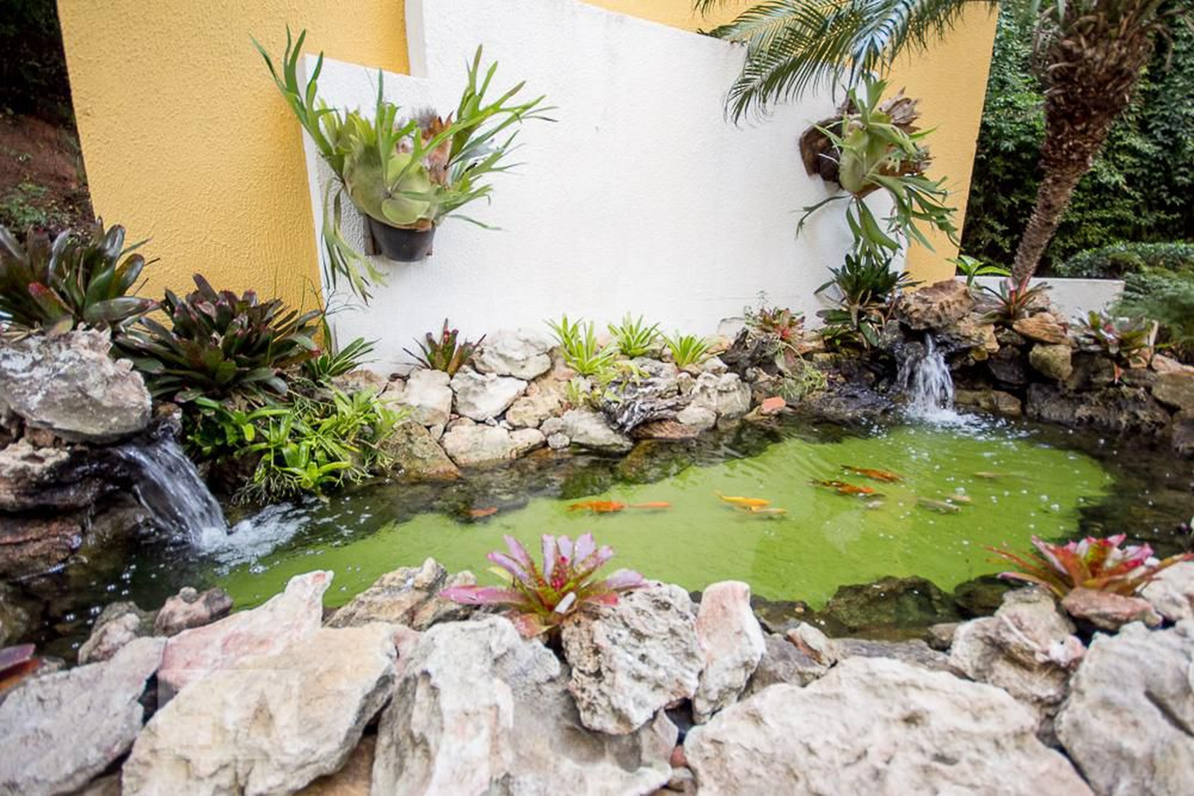 Entrada do Prédio - Ilhas do Pacifico