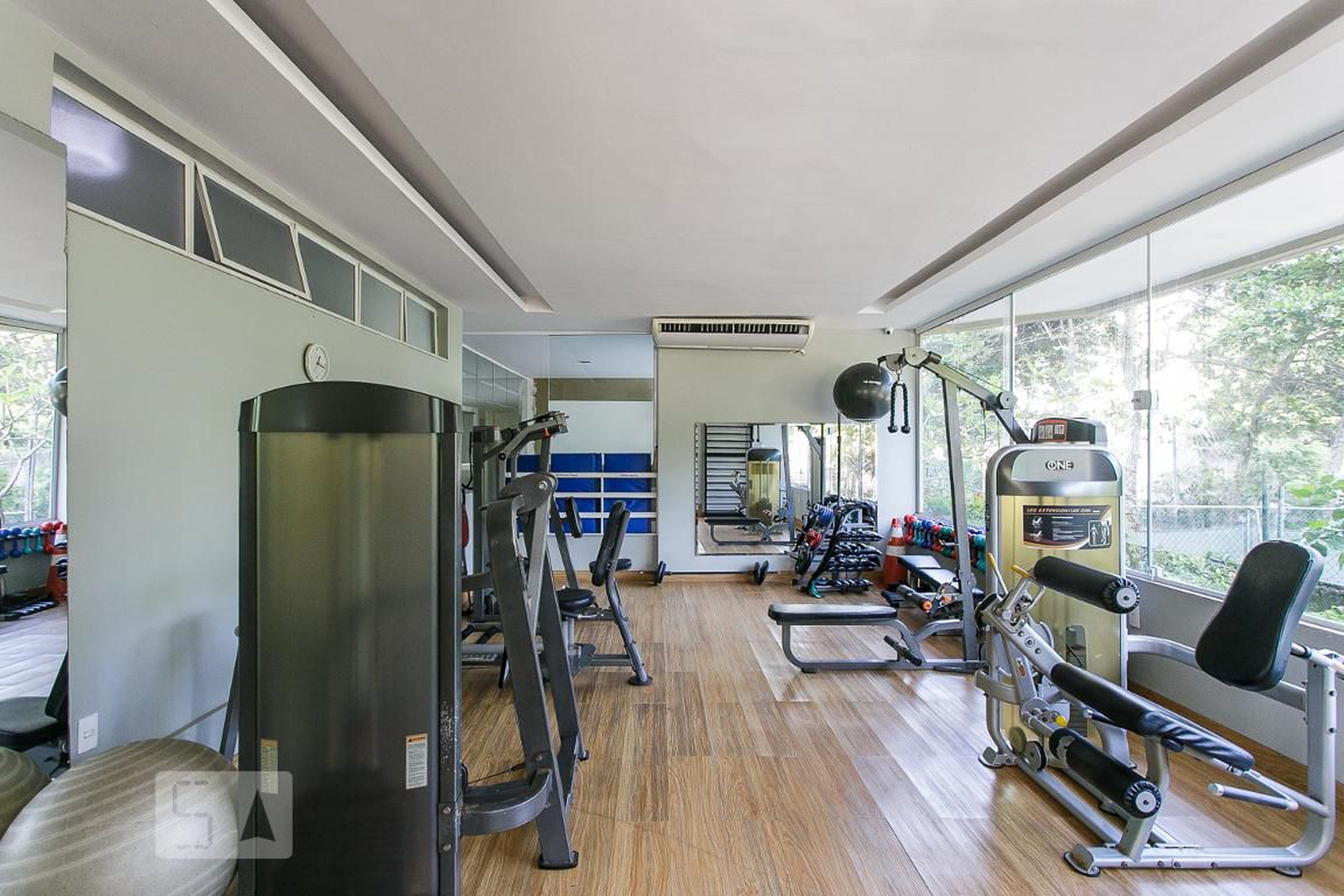 ACADEMIA - SAO Conrado Freen