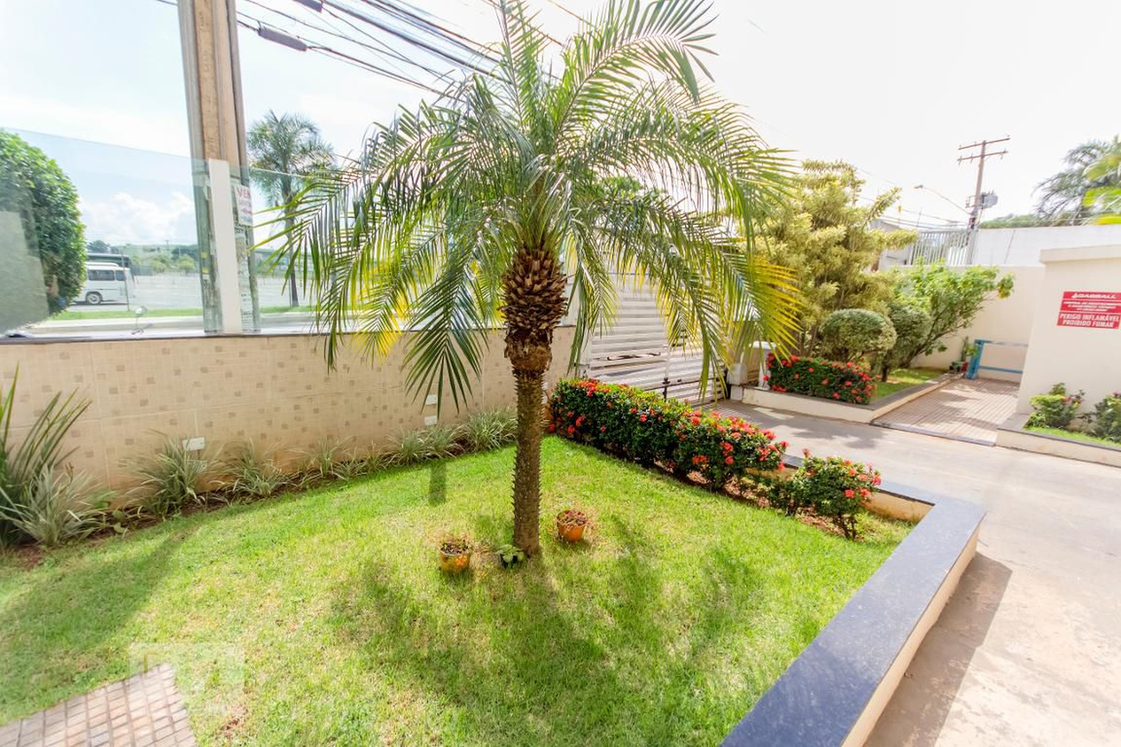 Entrada - Flamingo Gold