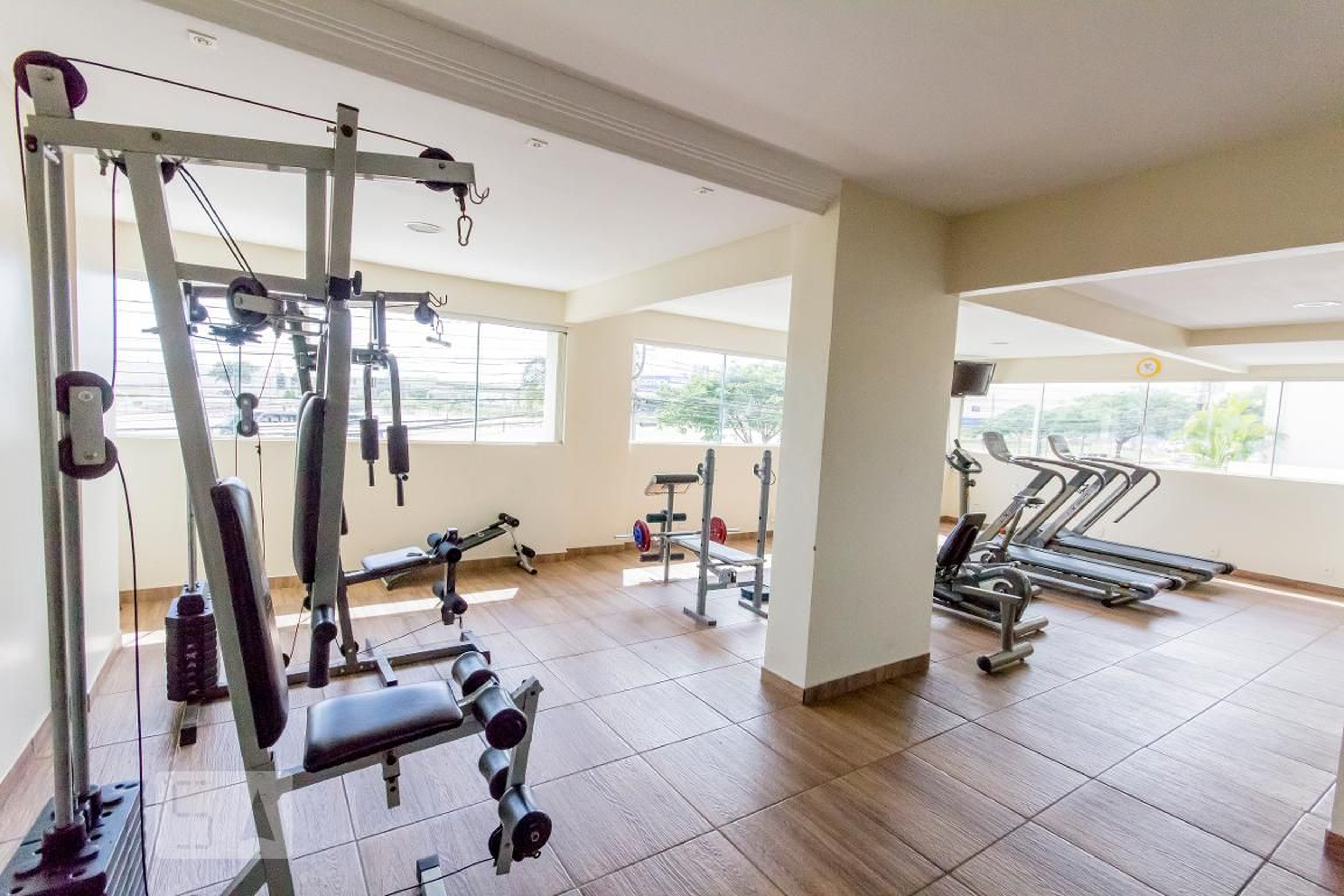 Academia - Flamingo Gold