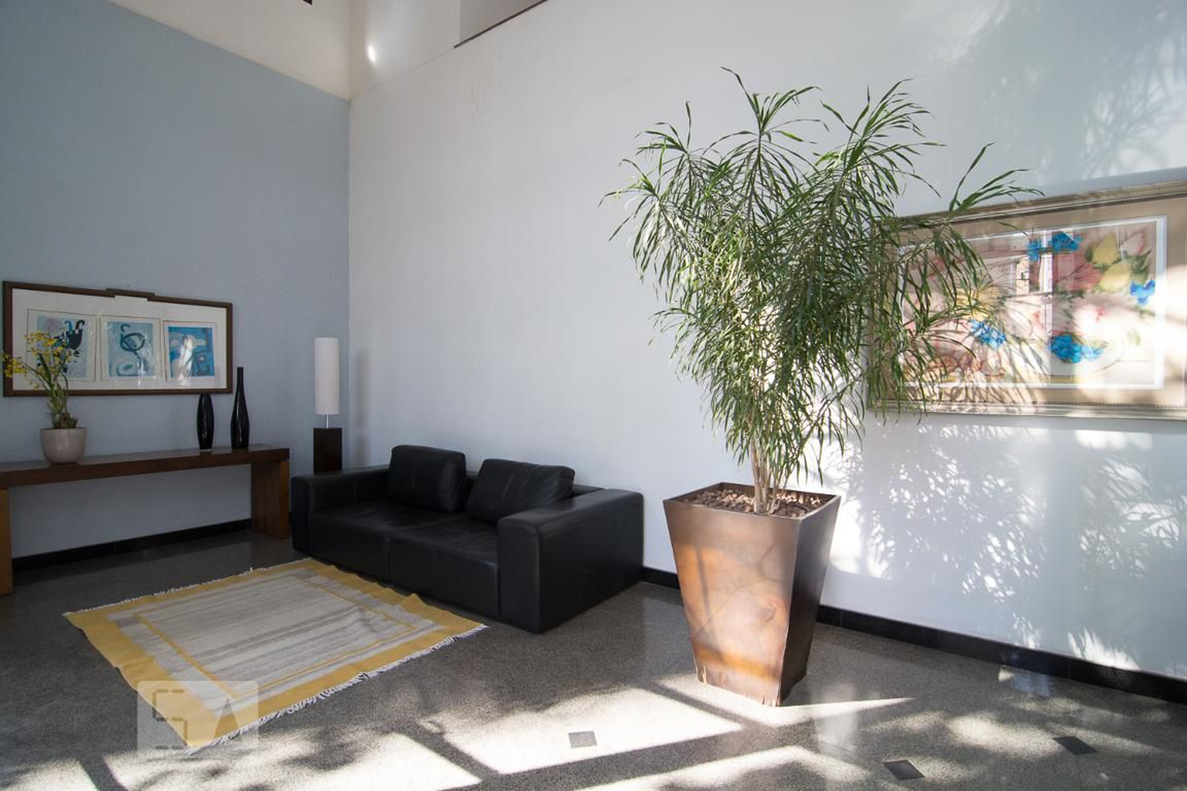 Entrada - Monte Carlo