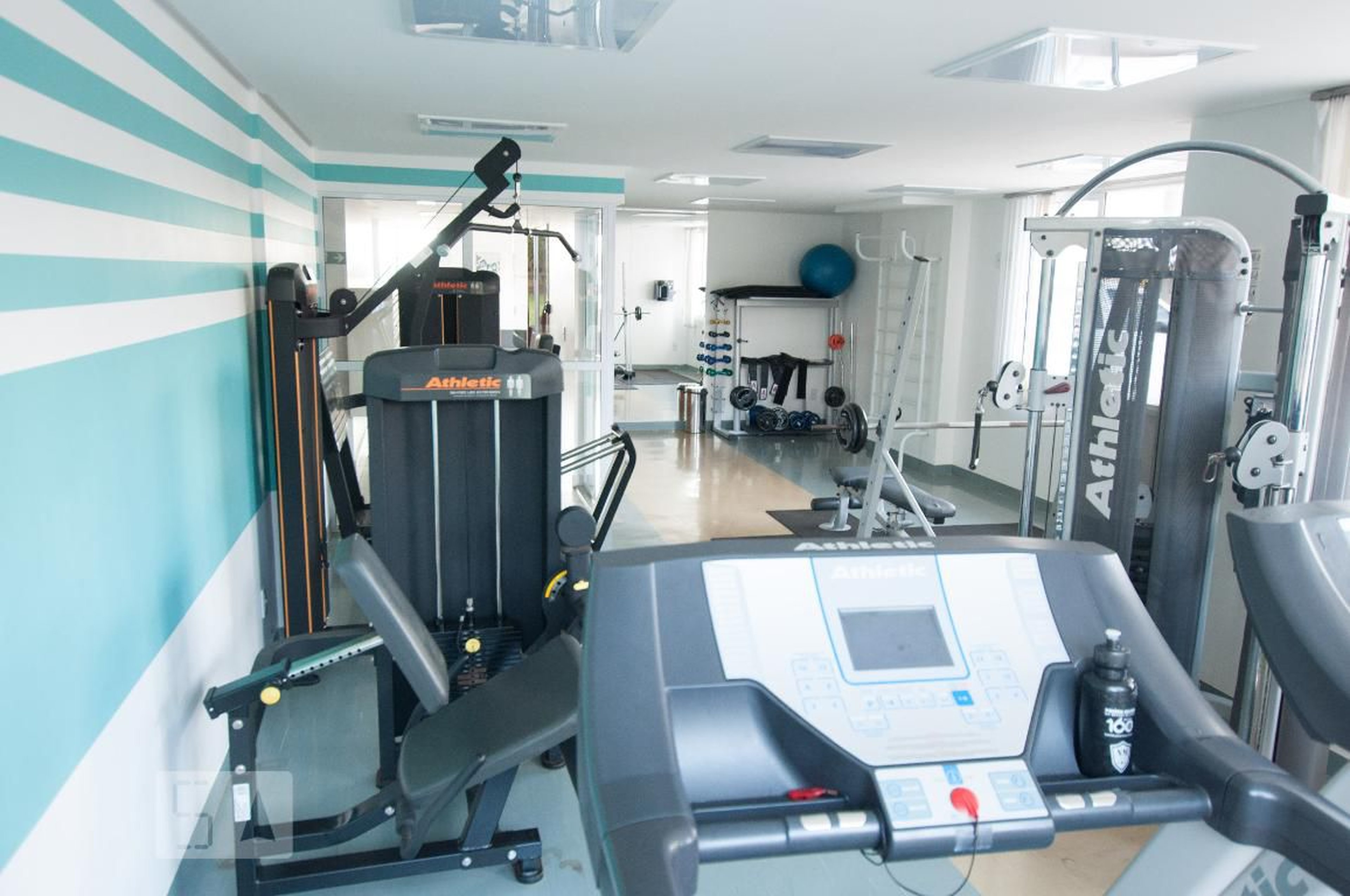 Academia - New Liberty