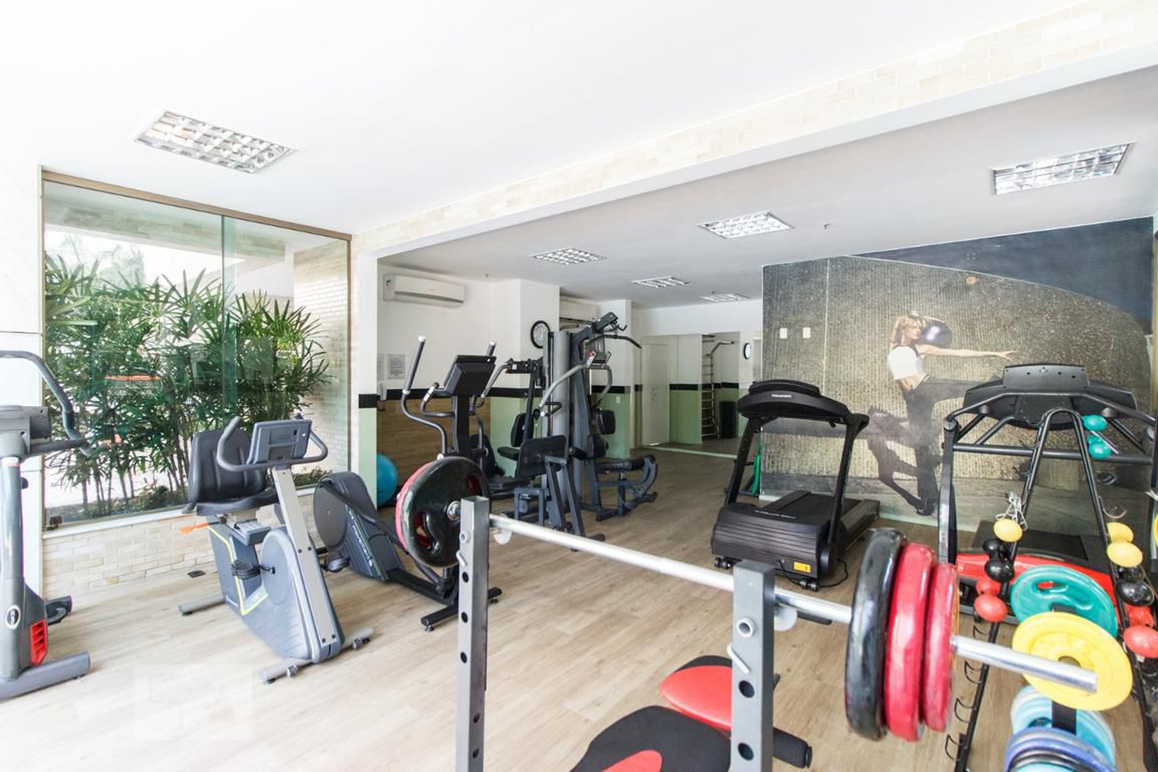 Academia - Península