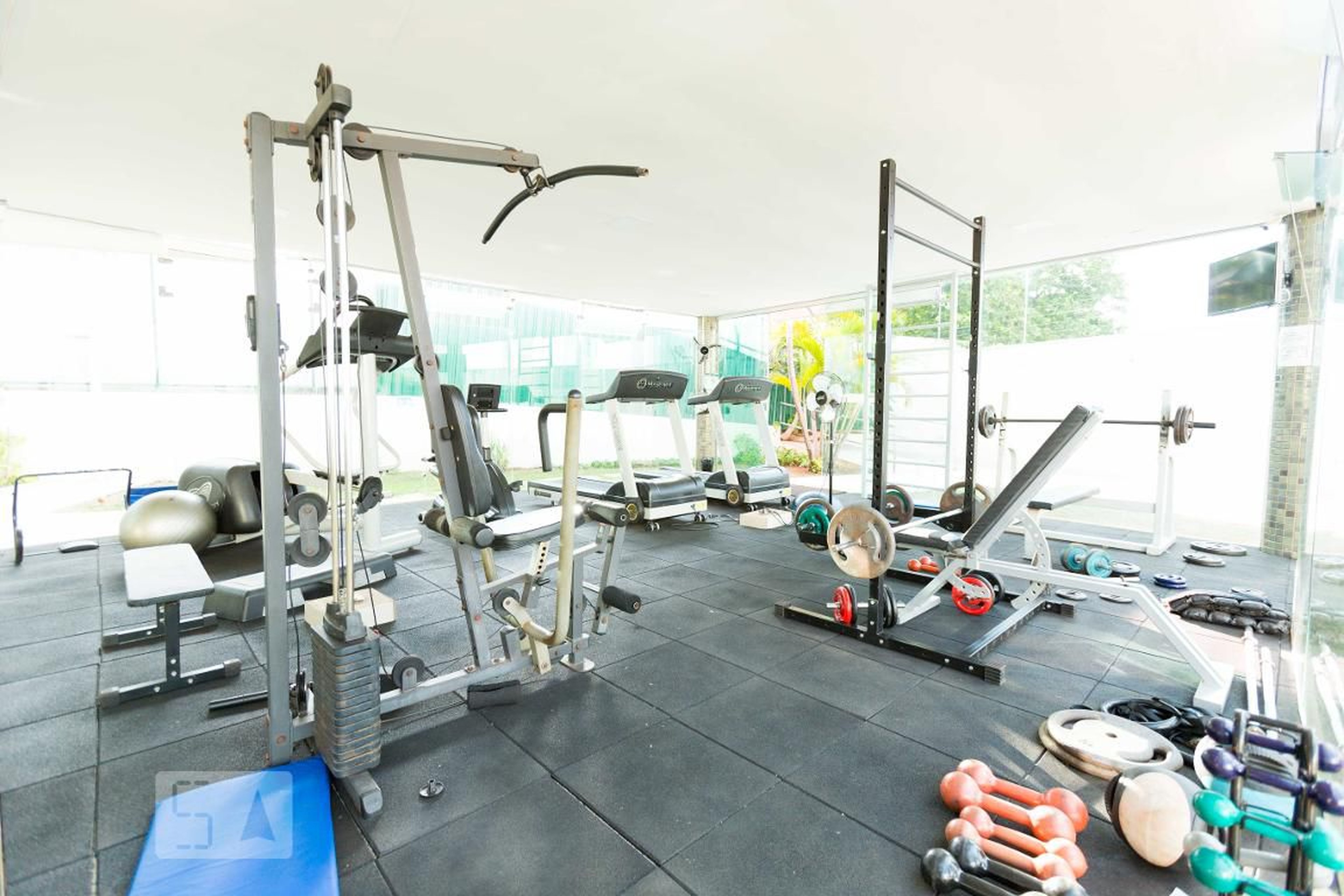 ACADEMIA - Comfort Lake