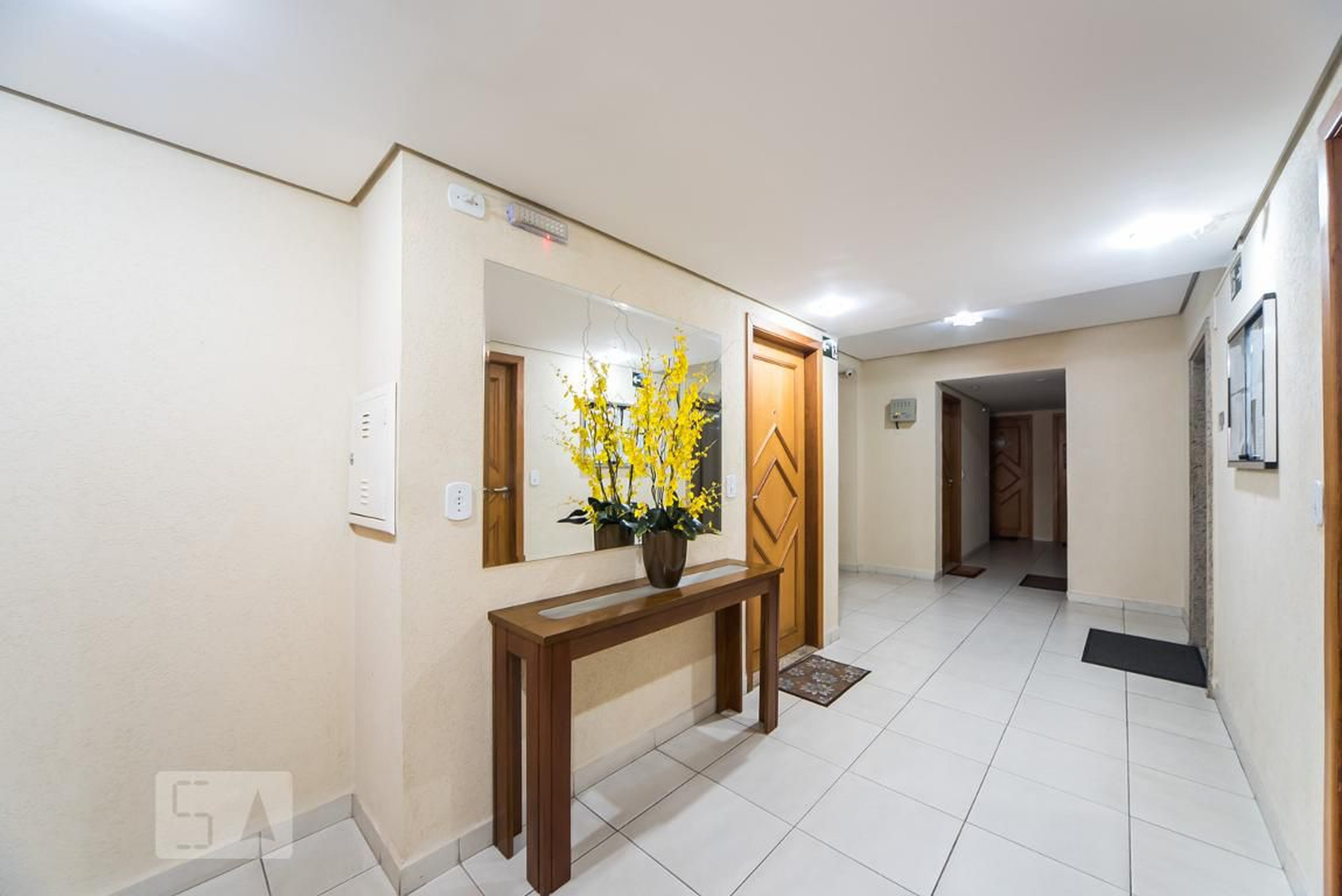 Hall Social - Ed. Amsterdam