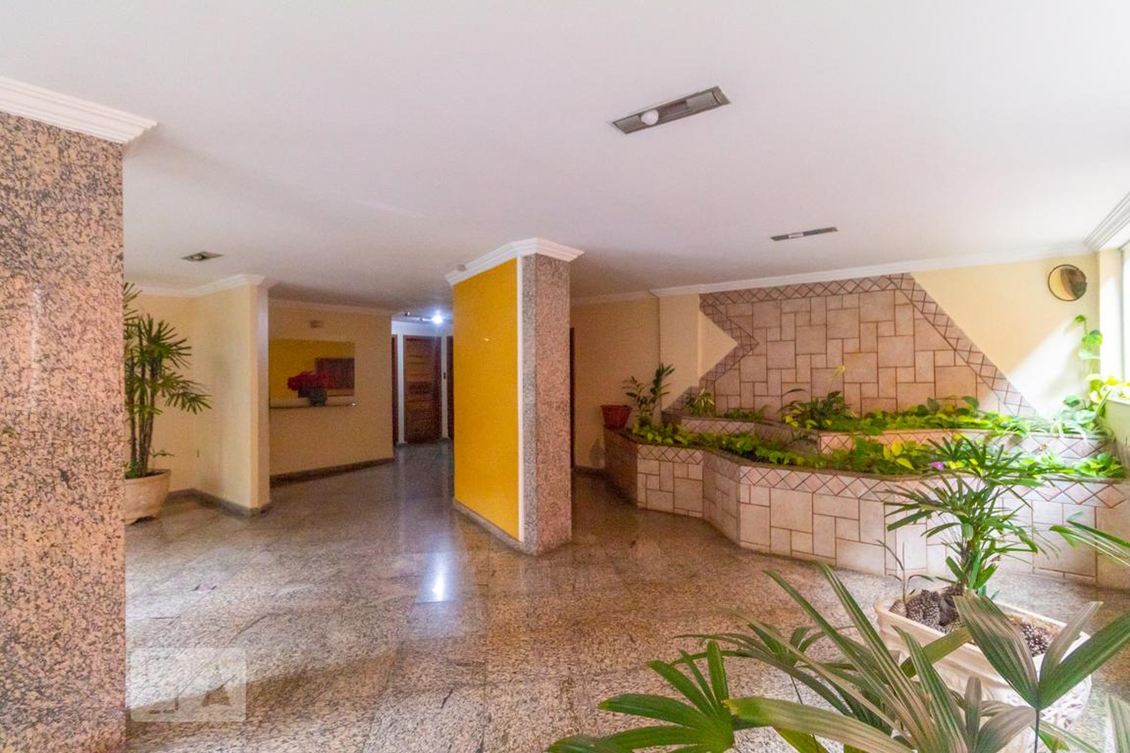 Hall - Samauma