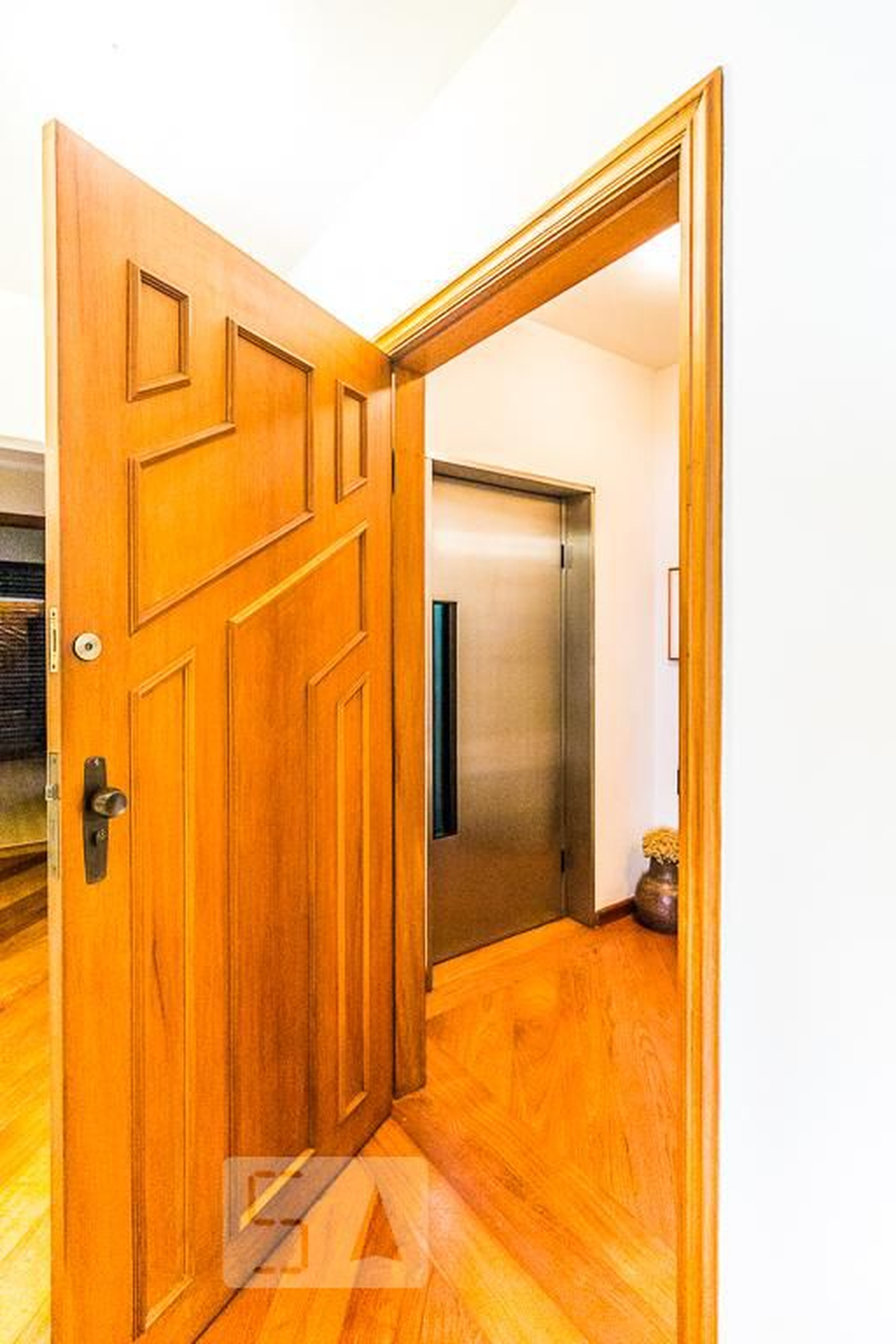 Elevador - Jequitiba