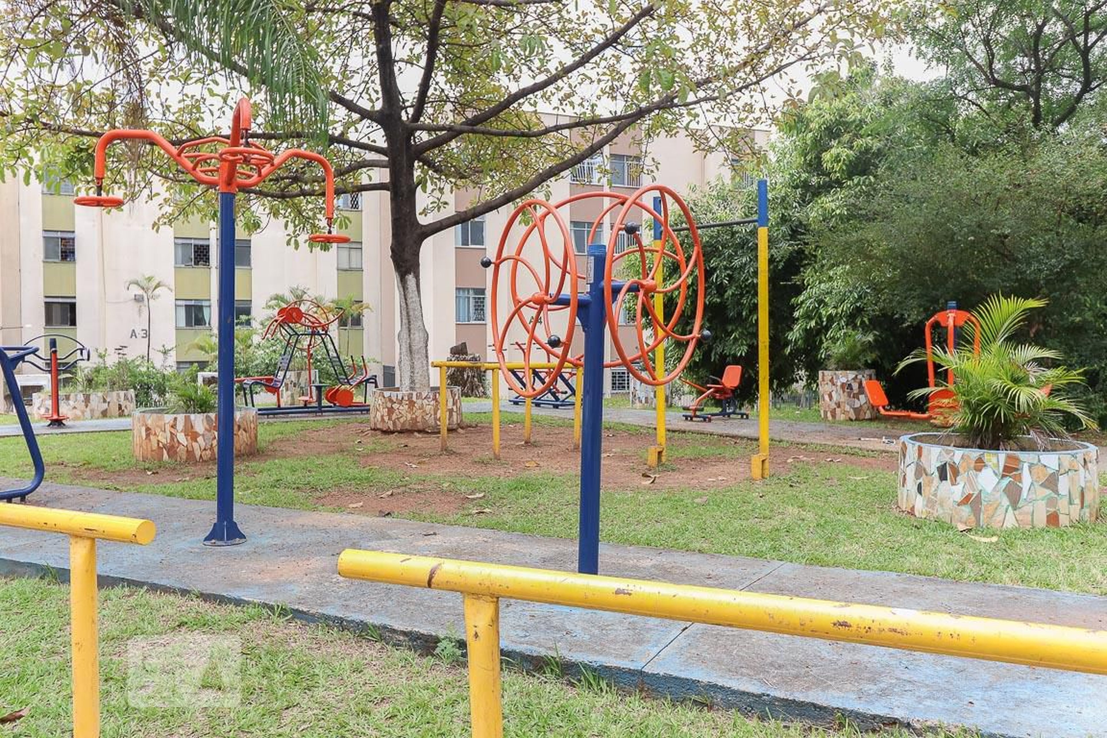 Academia - Henrique Silva Araújo