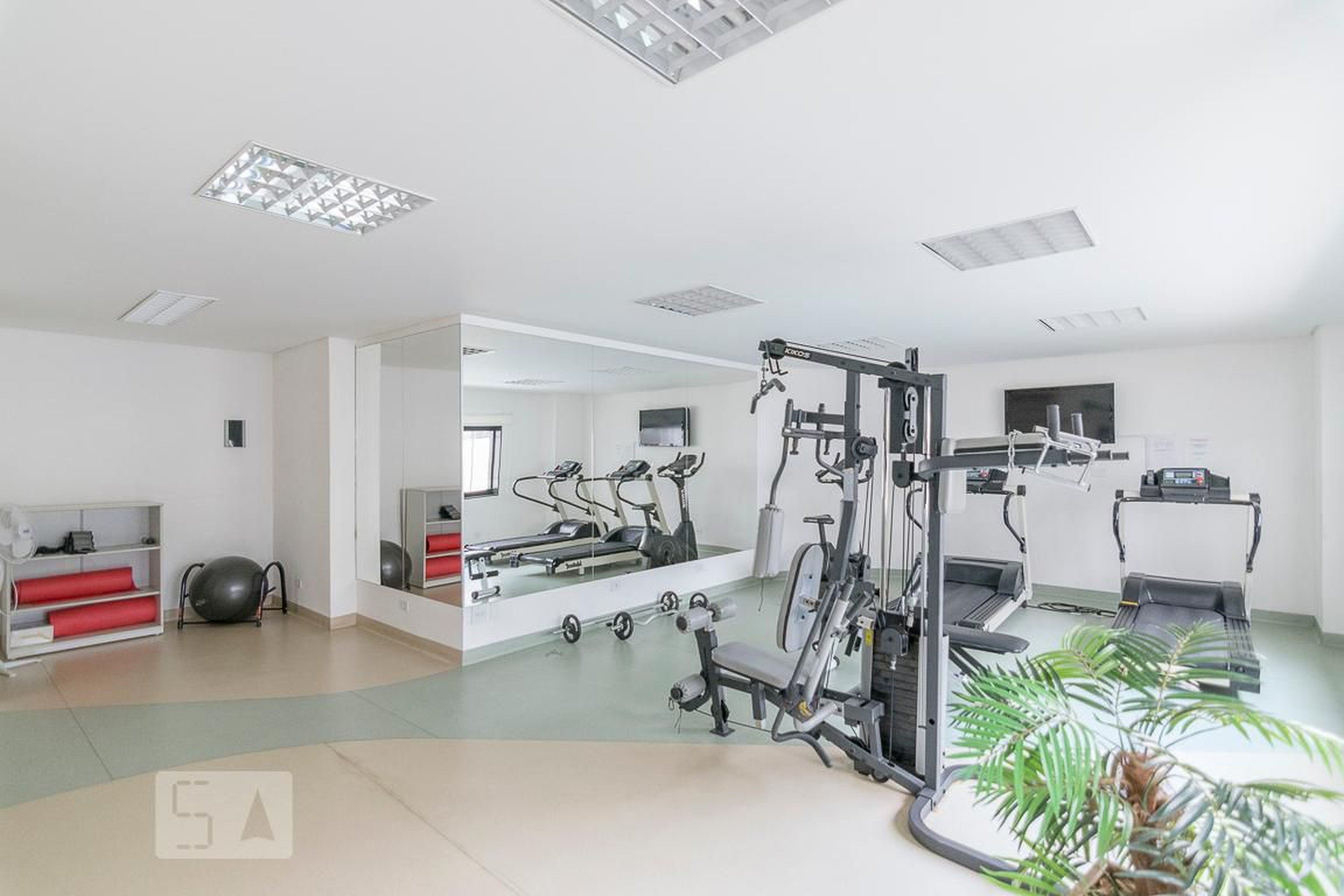 Academia - Guazzelli