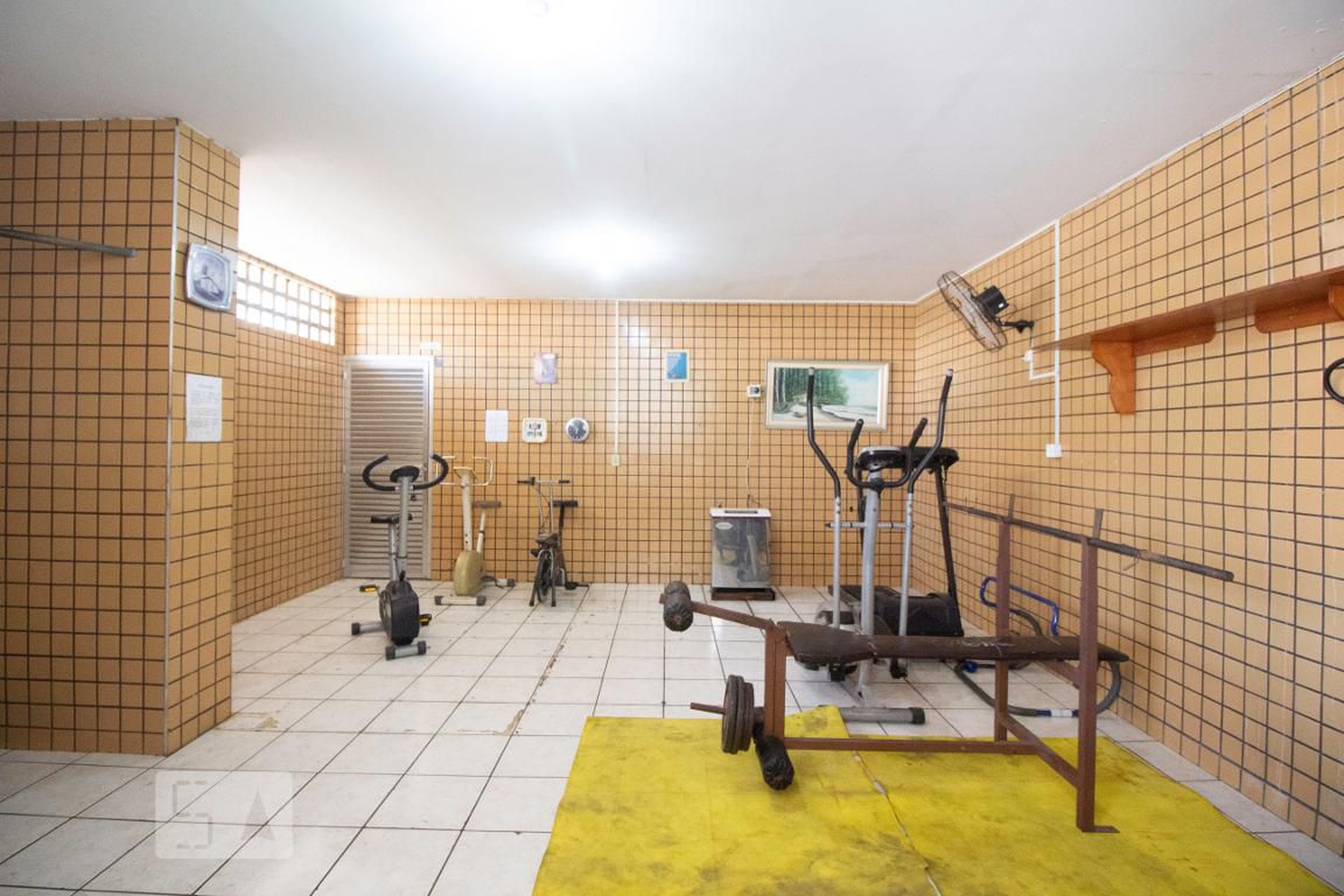 Academia - Edifício Van Monartis