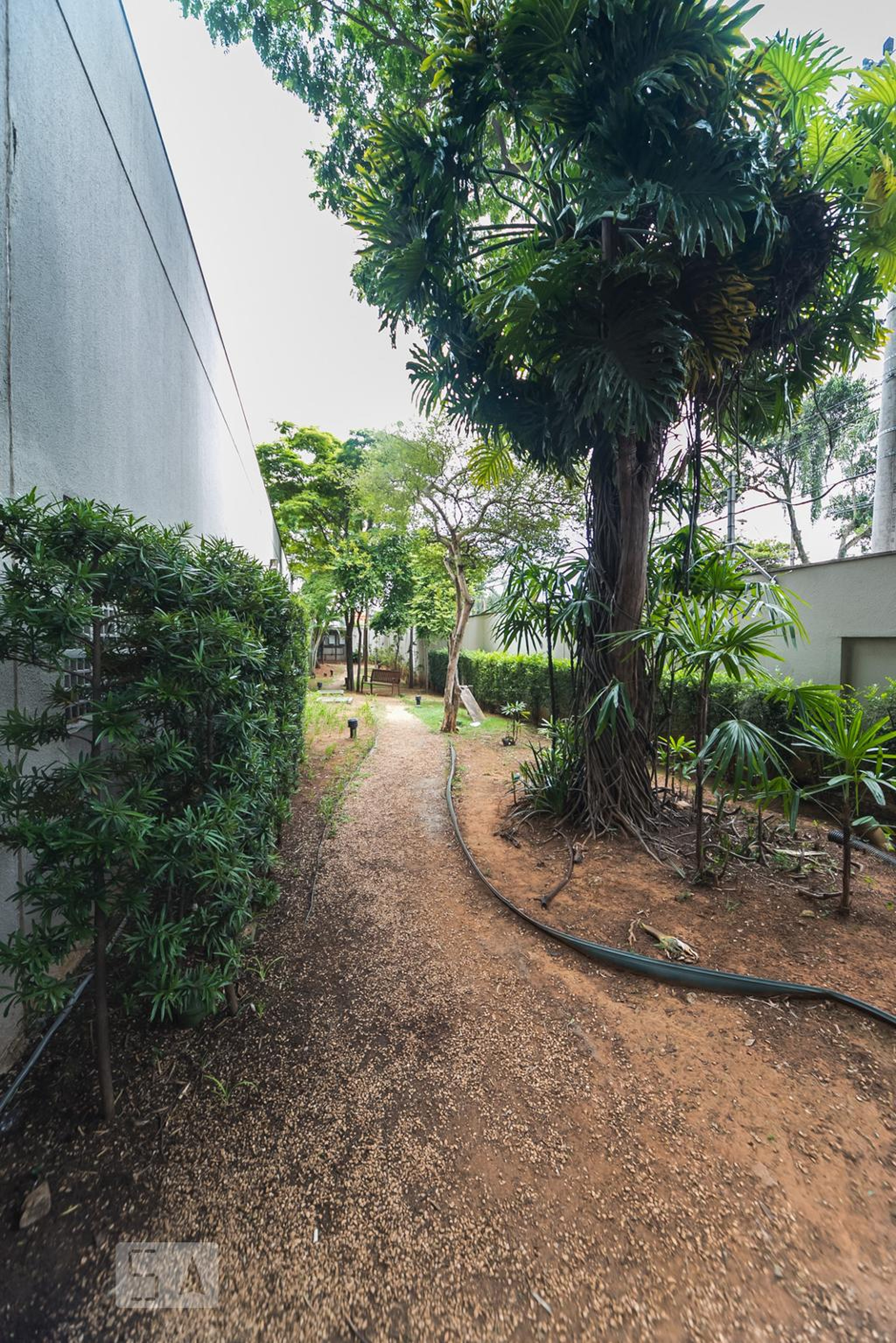 Espaço Pet - Novo Jardim Family Resort