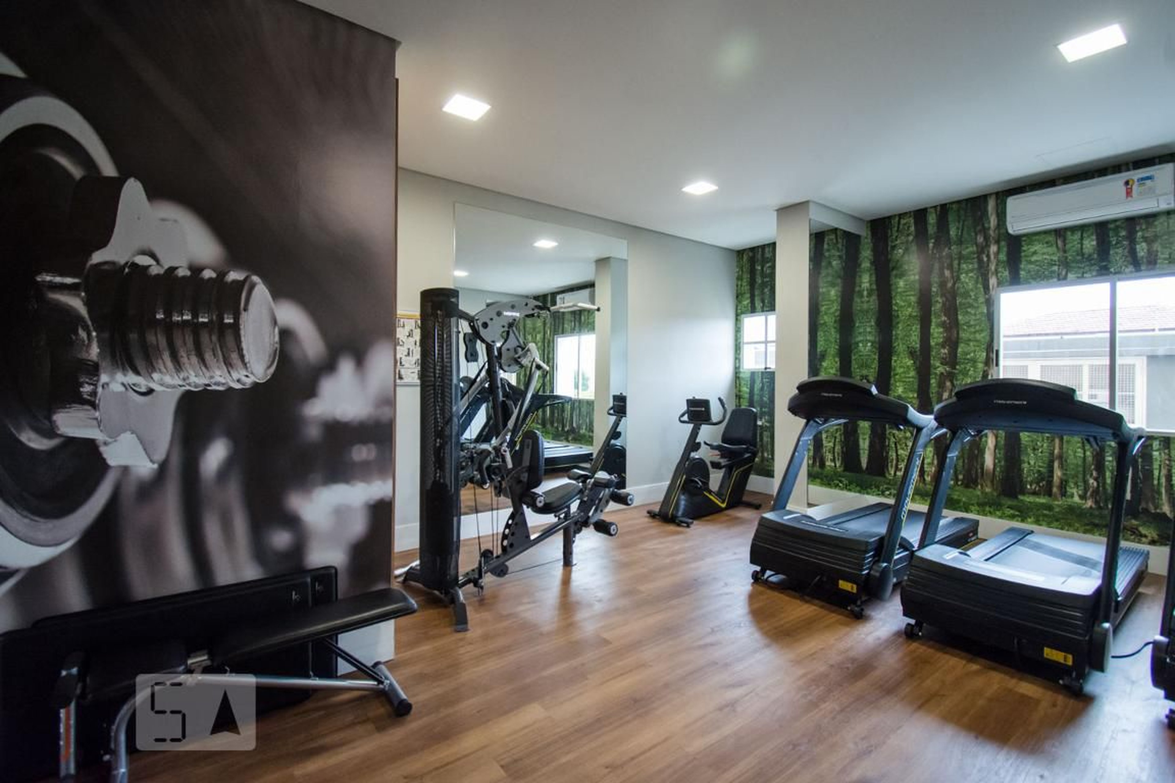 Academia - Queen Catherinne