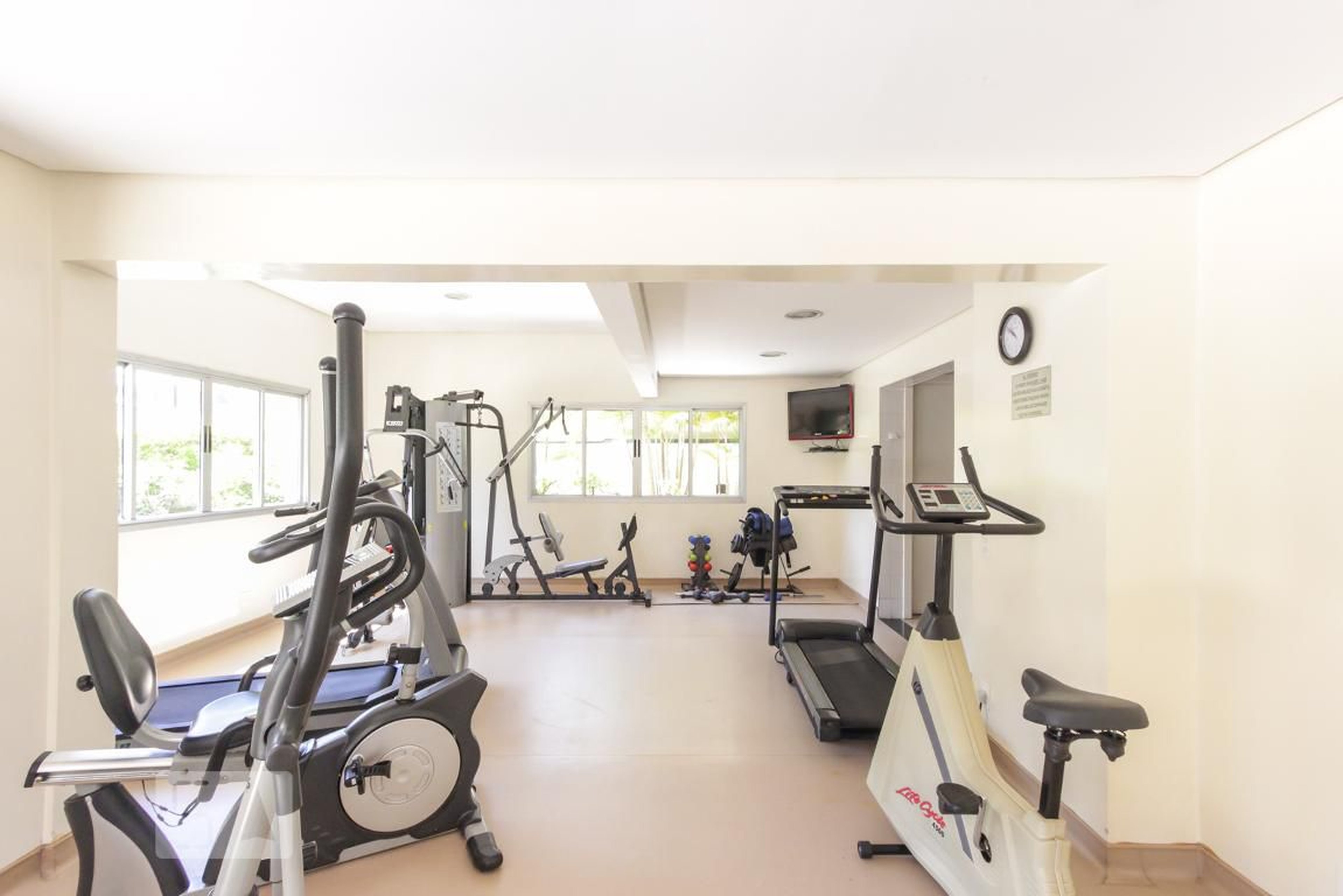 academia - Summer Hills