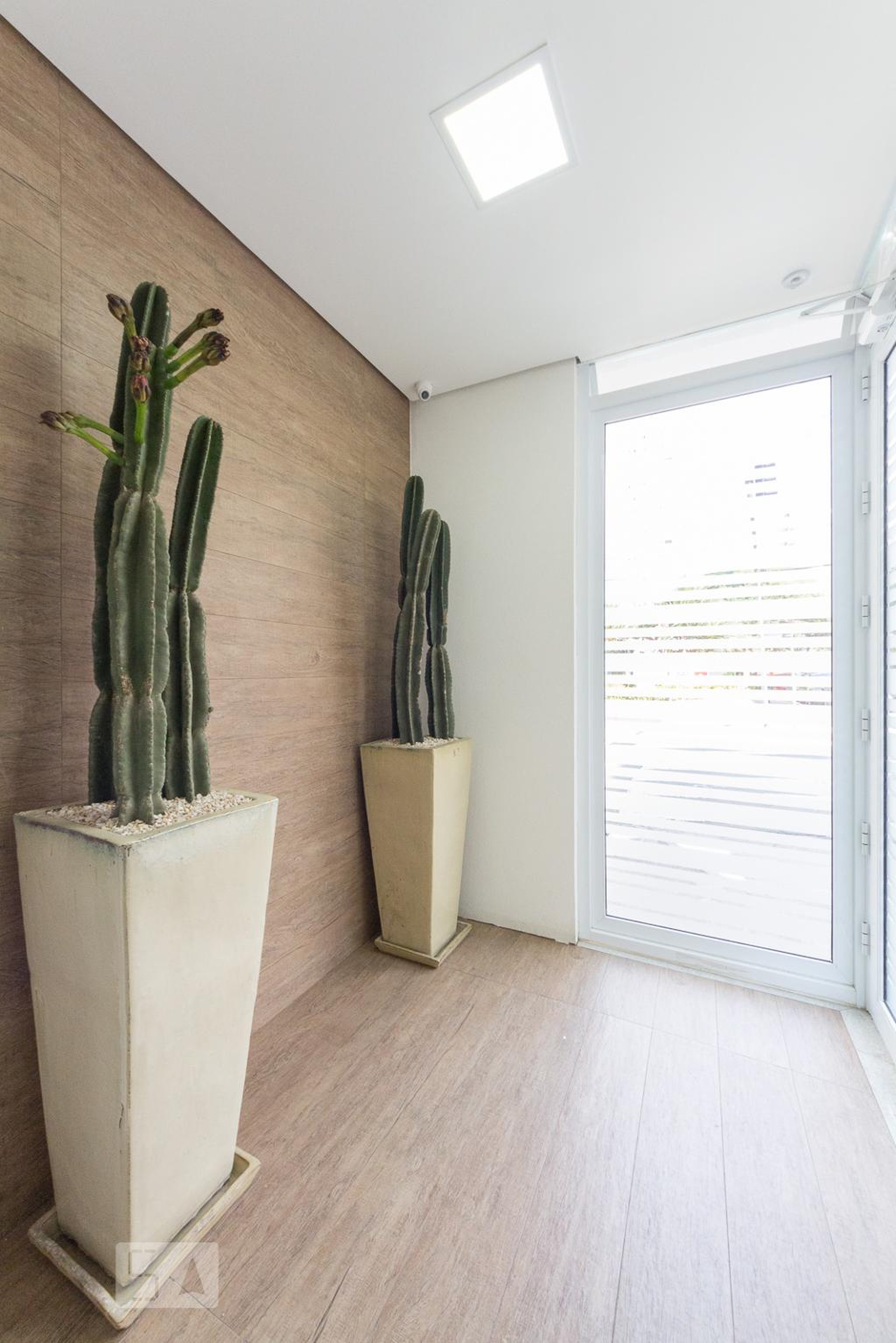 Hall social - Rua Afonso Freitas, 419