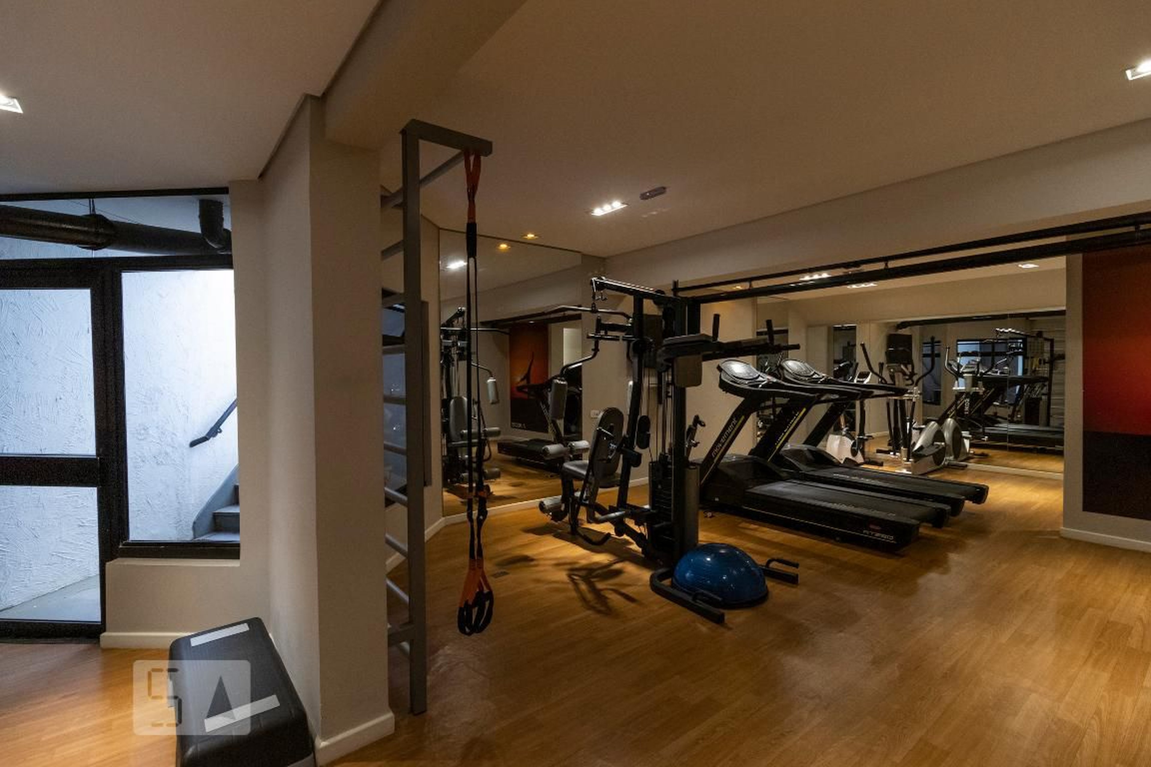 Academia - Calabrone