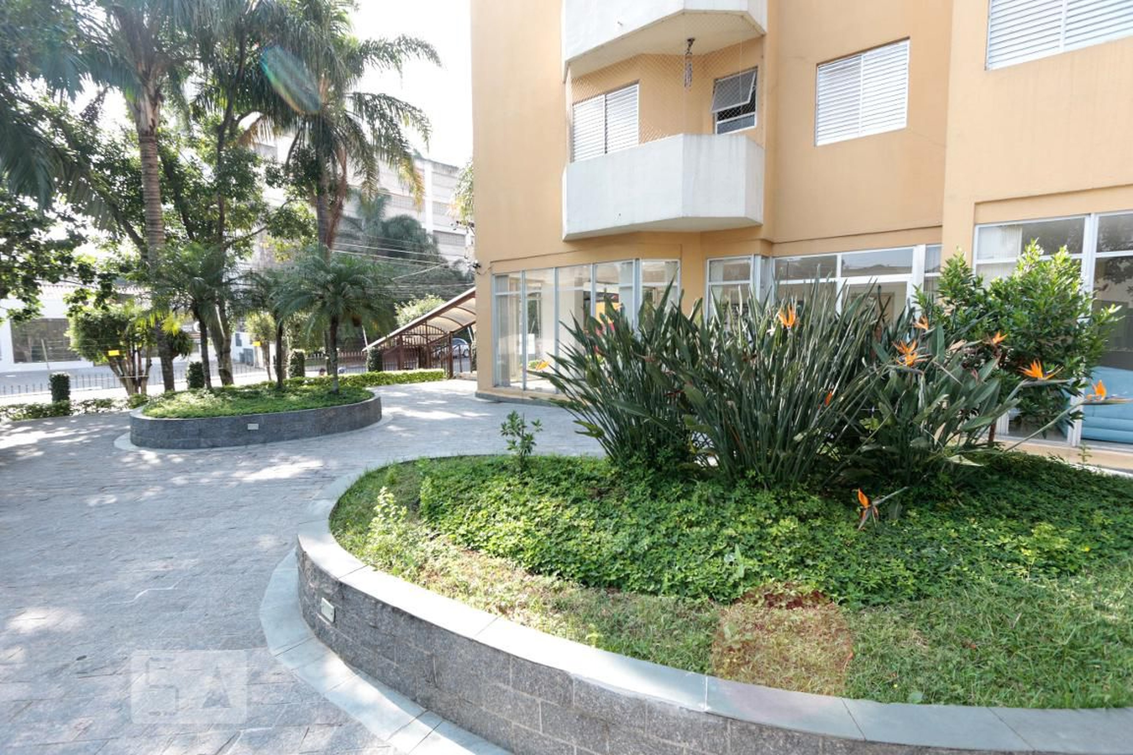 area externa - Charles Chaplin