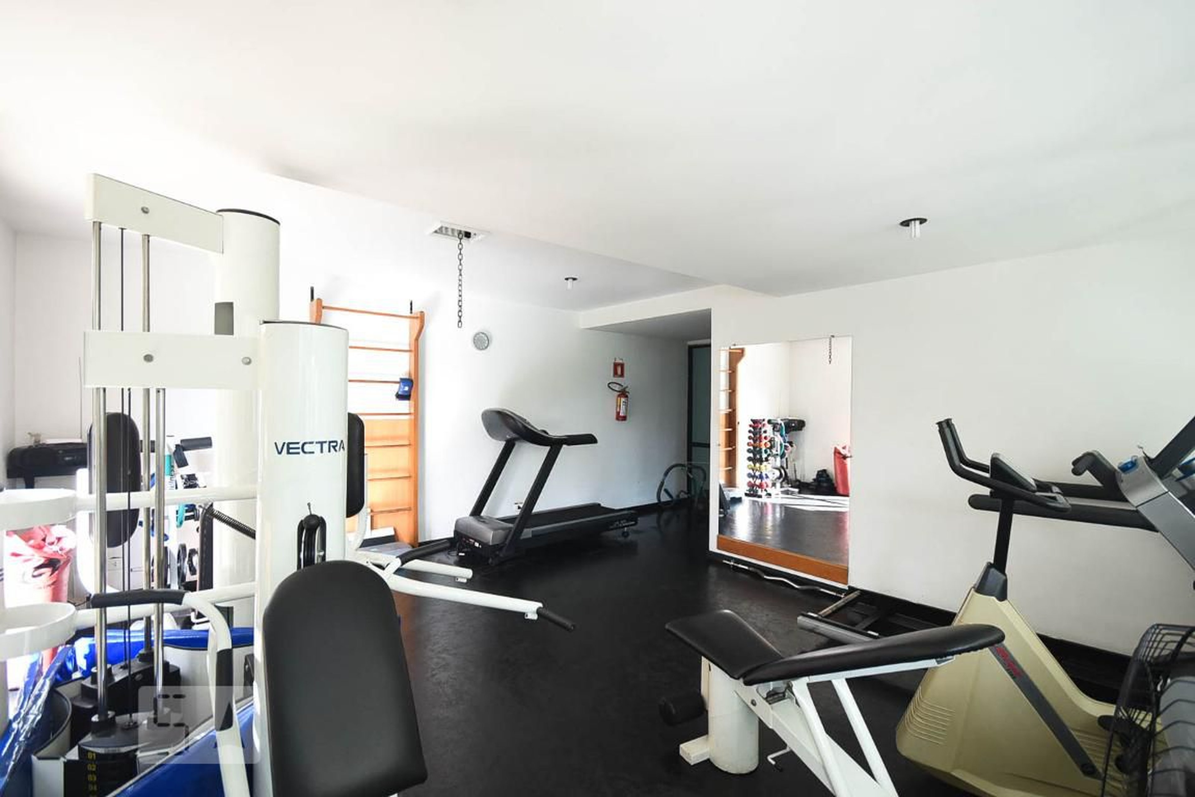 Academia - South Point