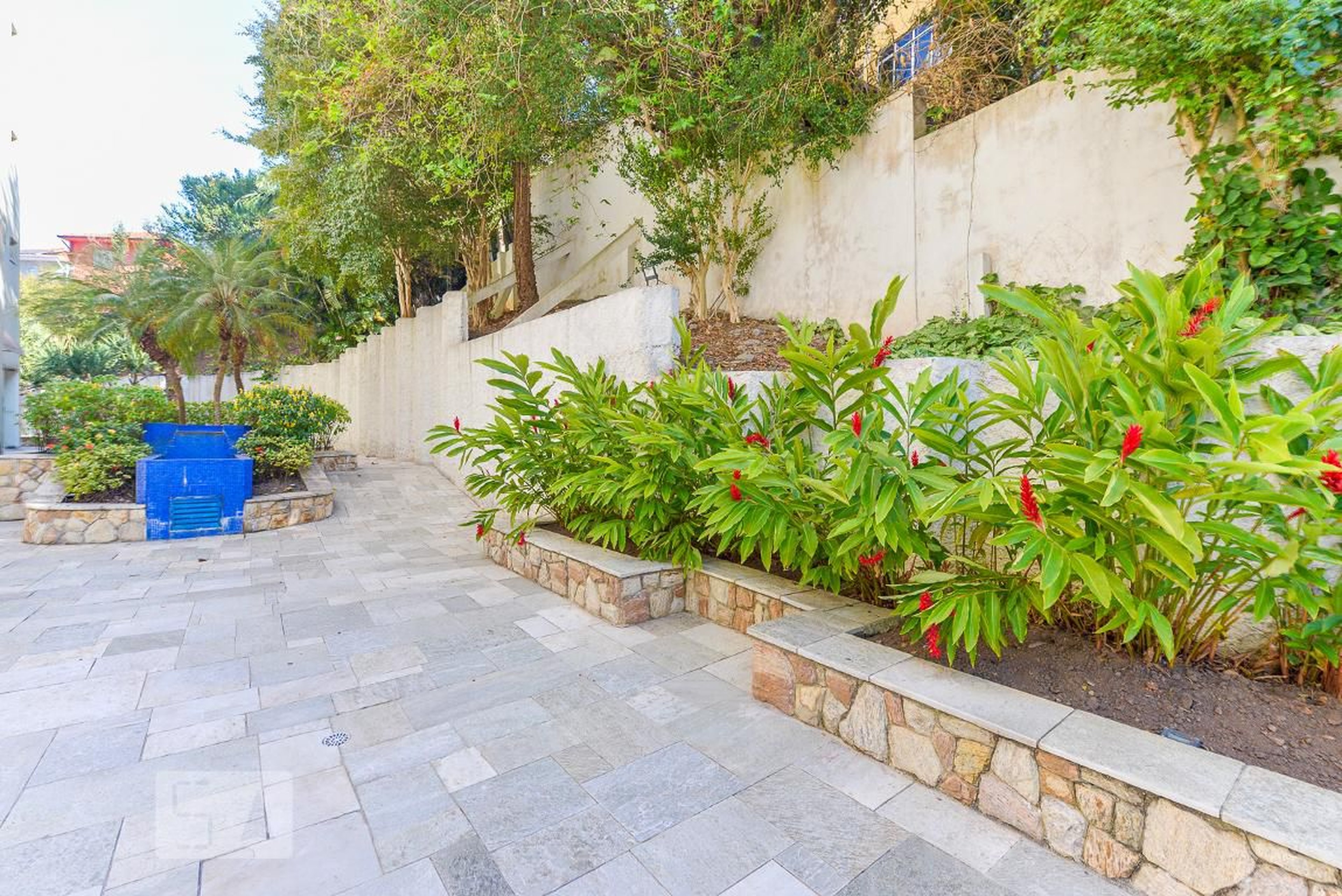 Area Comum - Ana Carolina