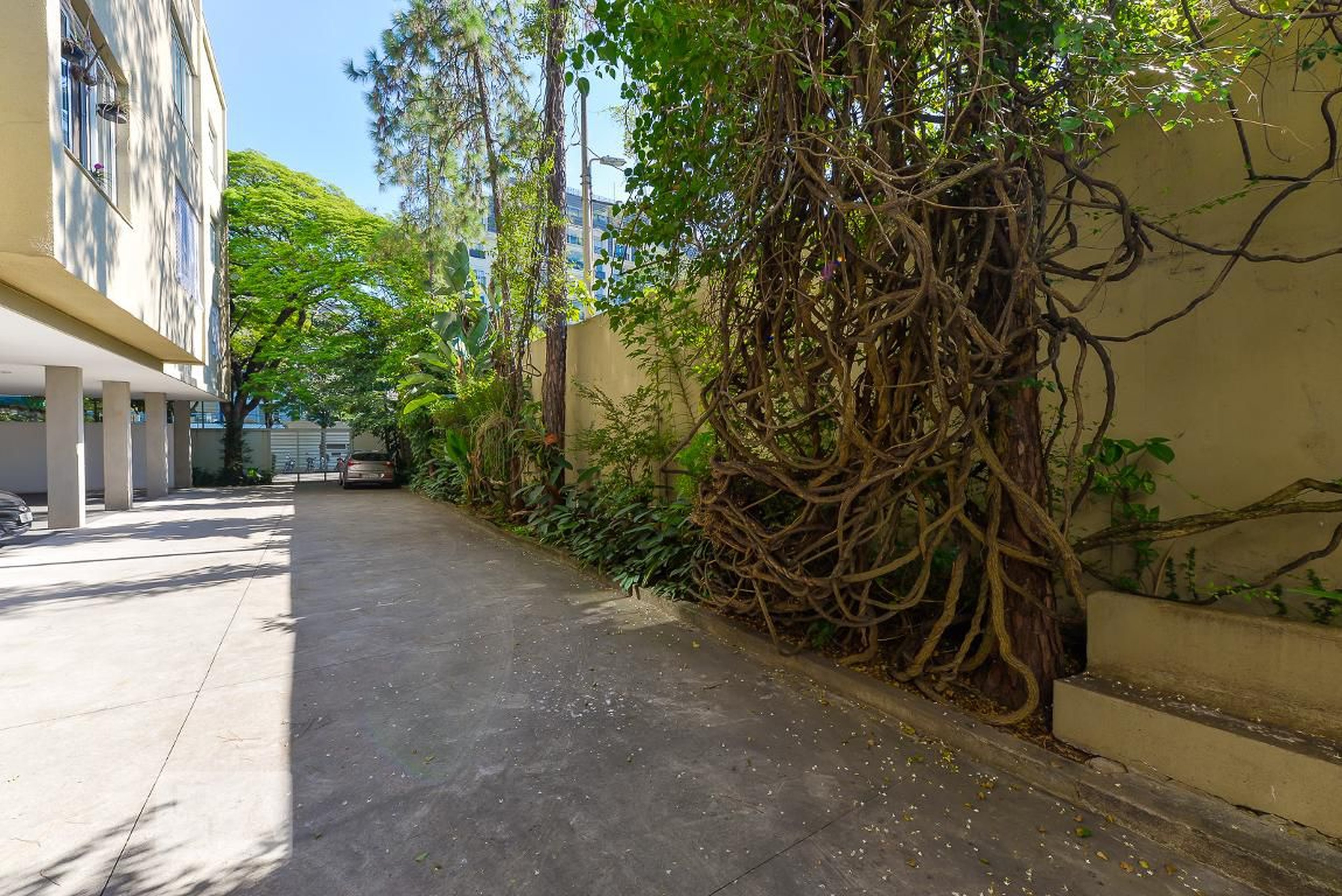 Condomínio - Edifício Man Glória