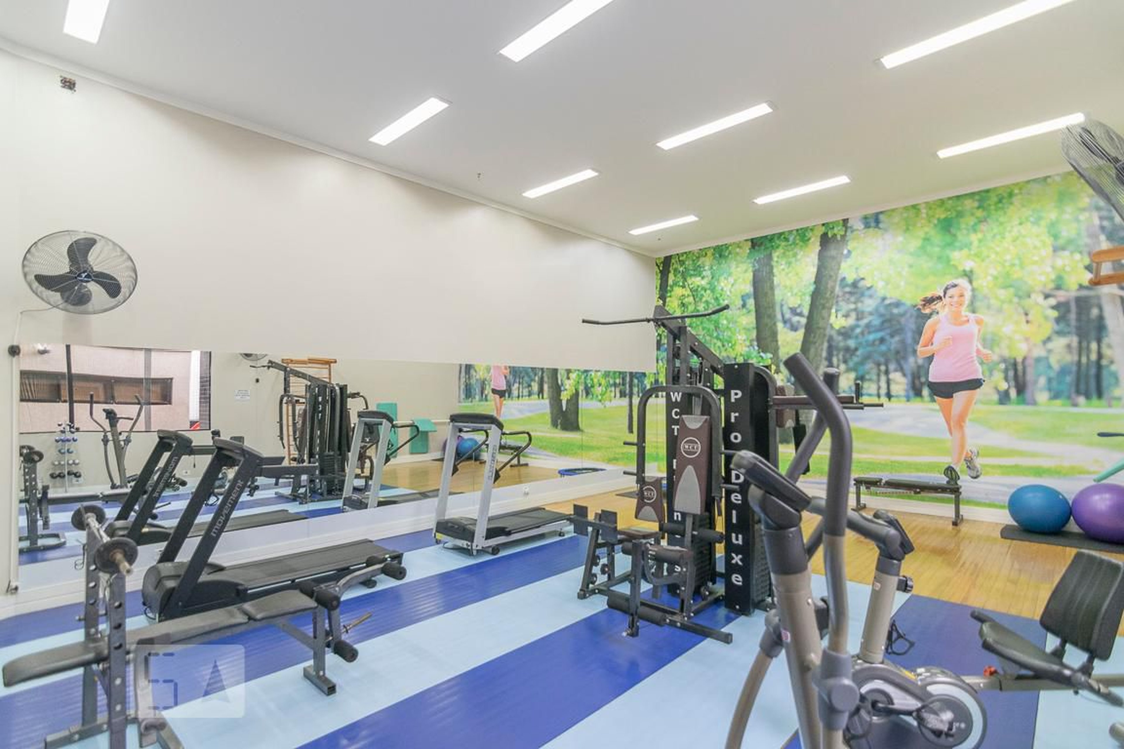 Academia - Golden Star