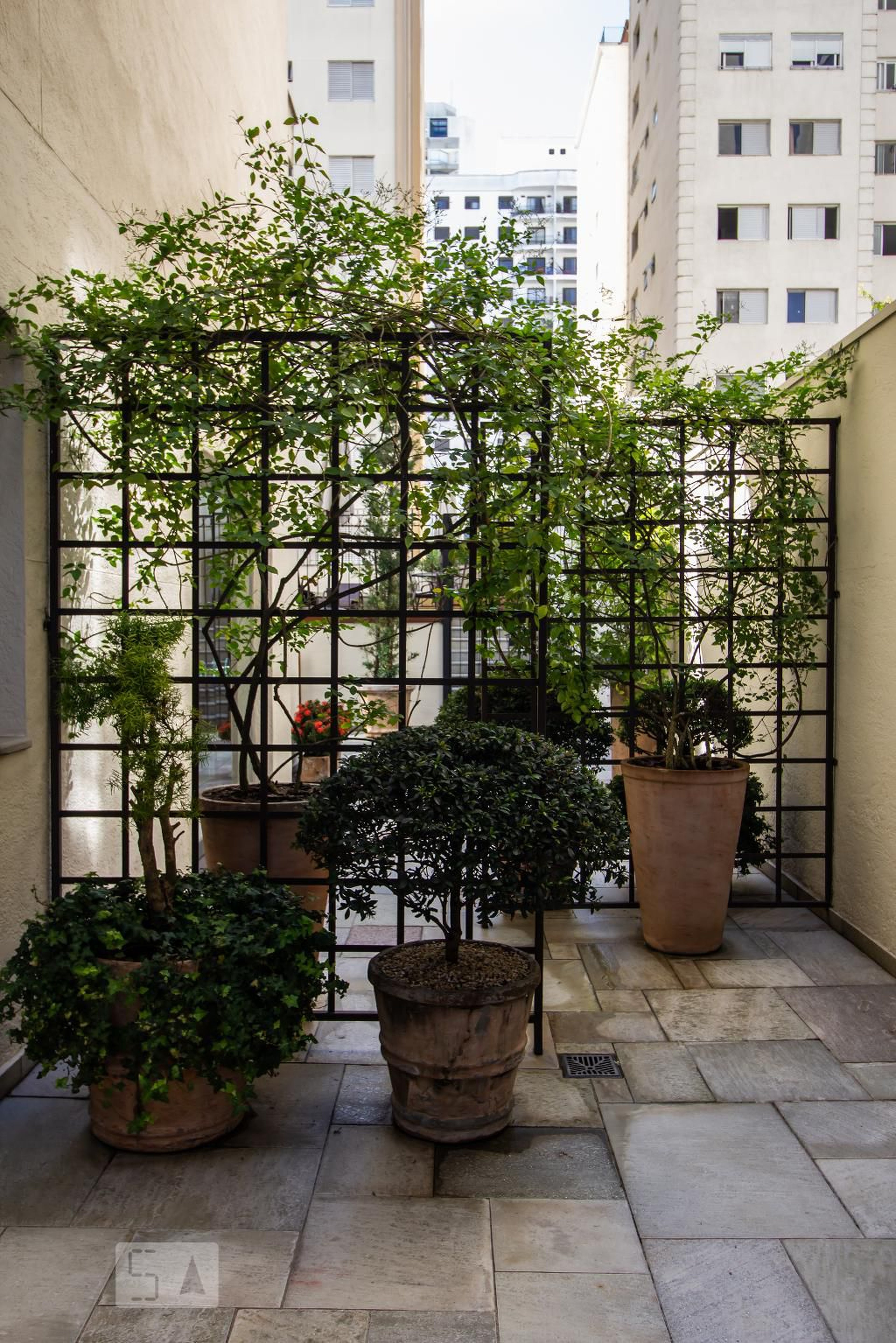 Área externa - Gemeos