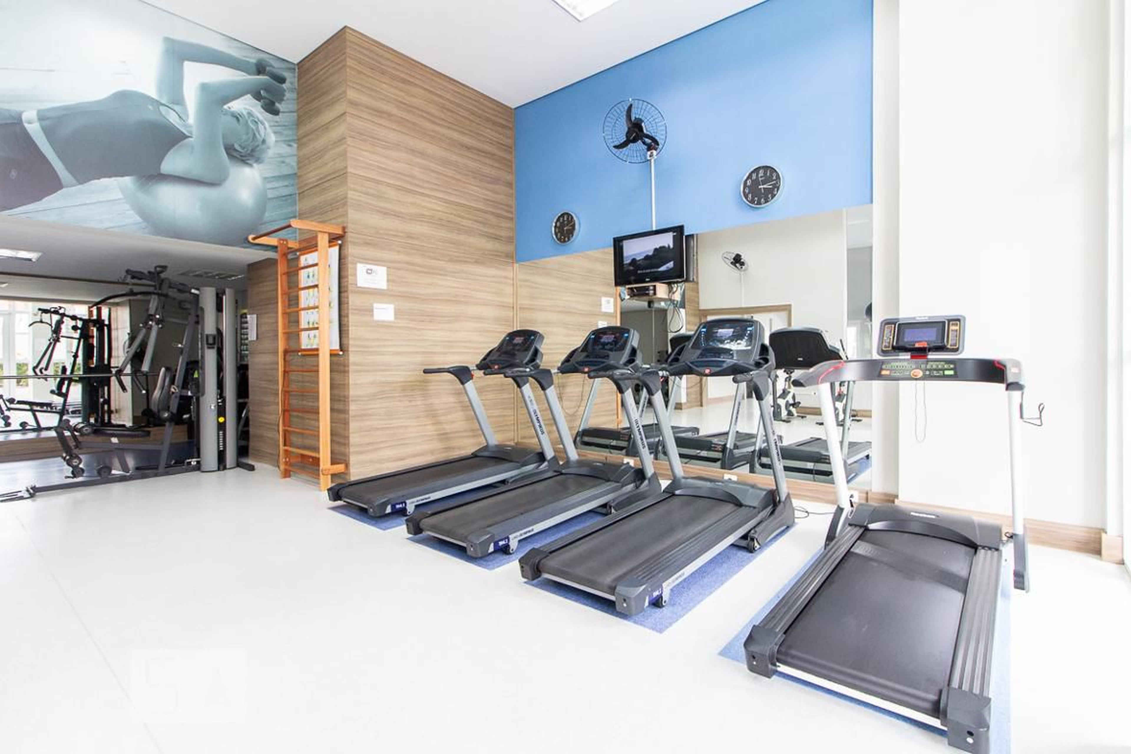 Academia - Acqua Verde