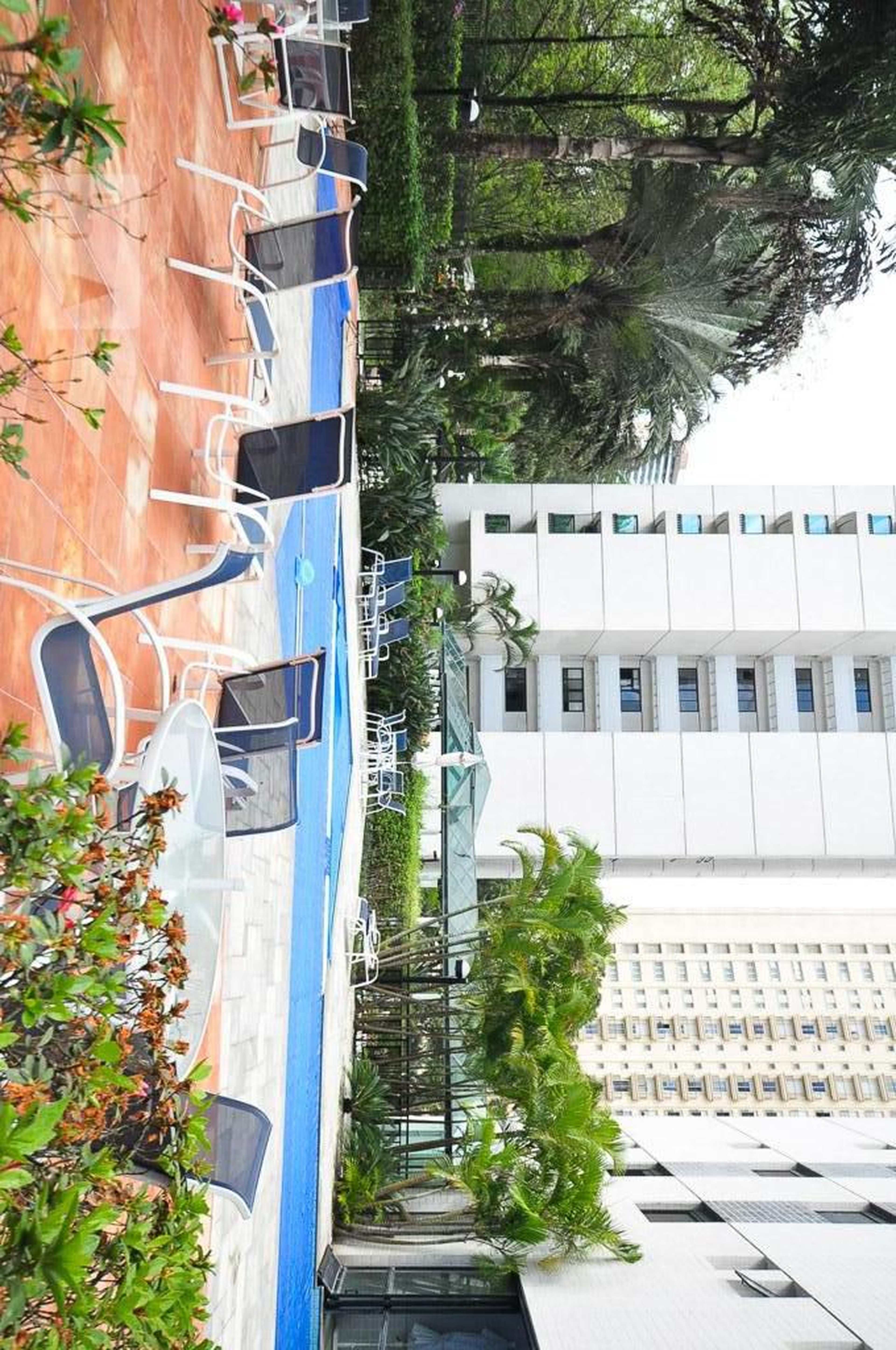 Piscina 1 - Regents Park