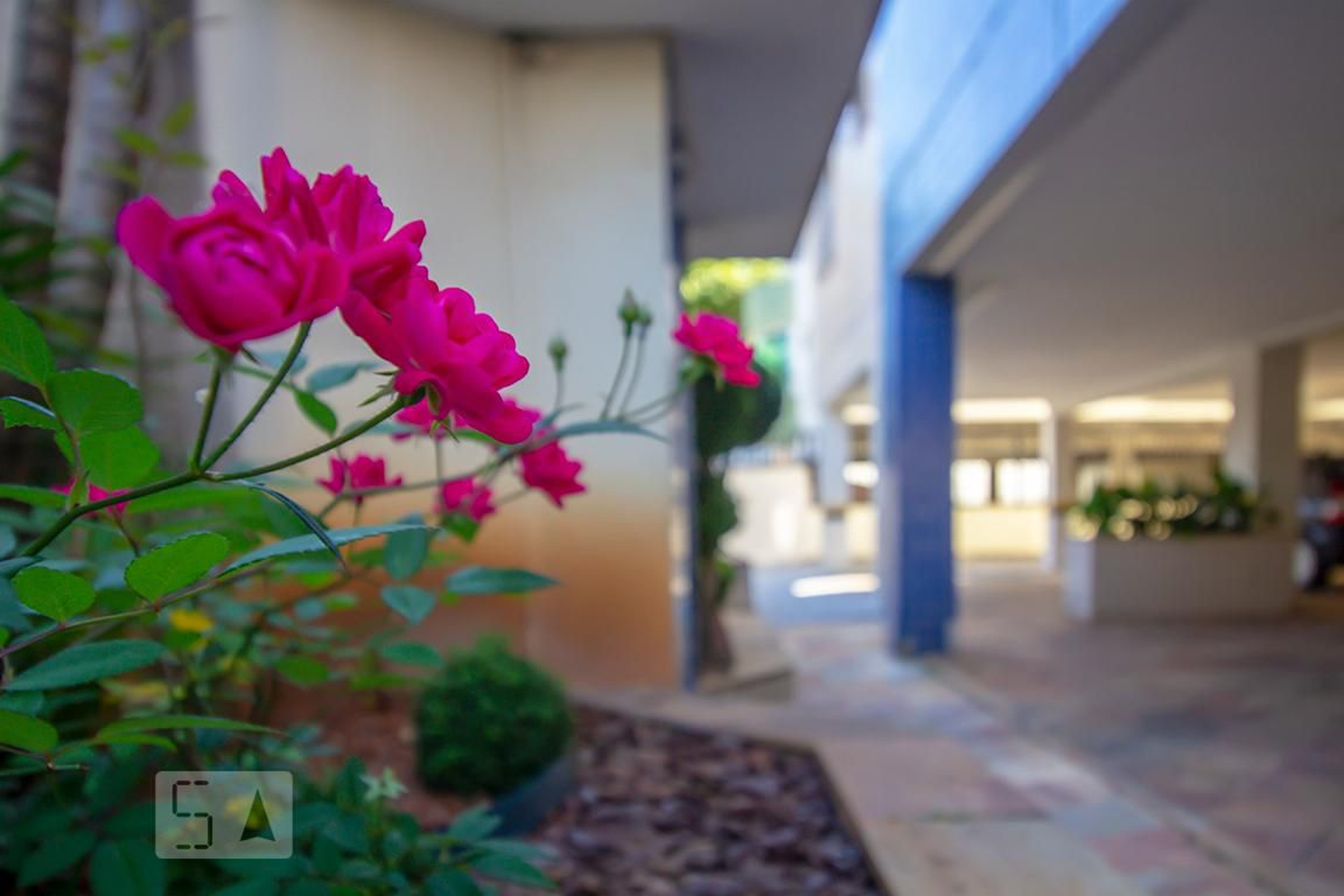 Área Externa - Edifício Amarilis