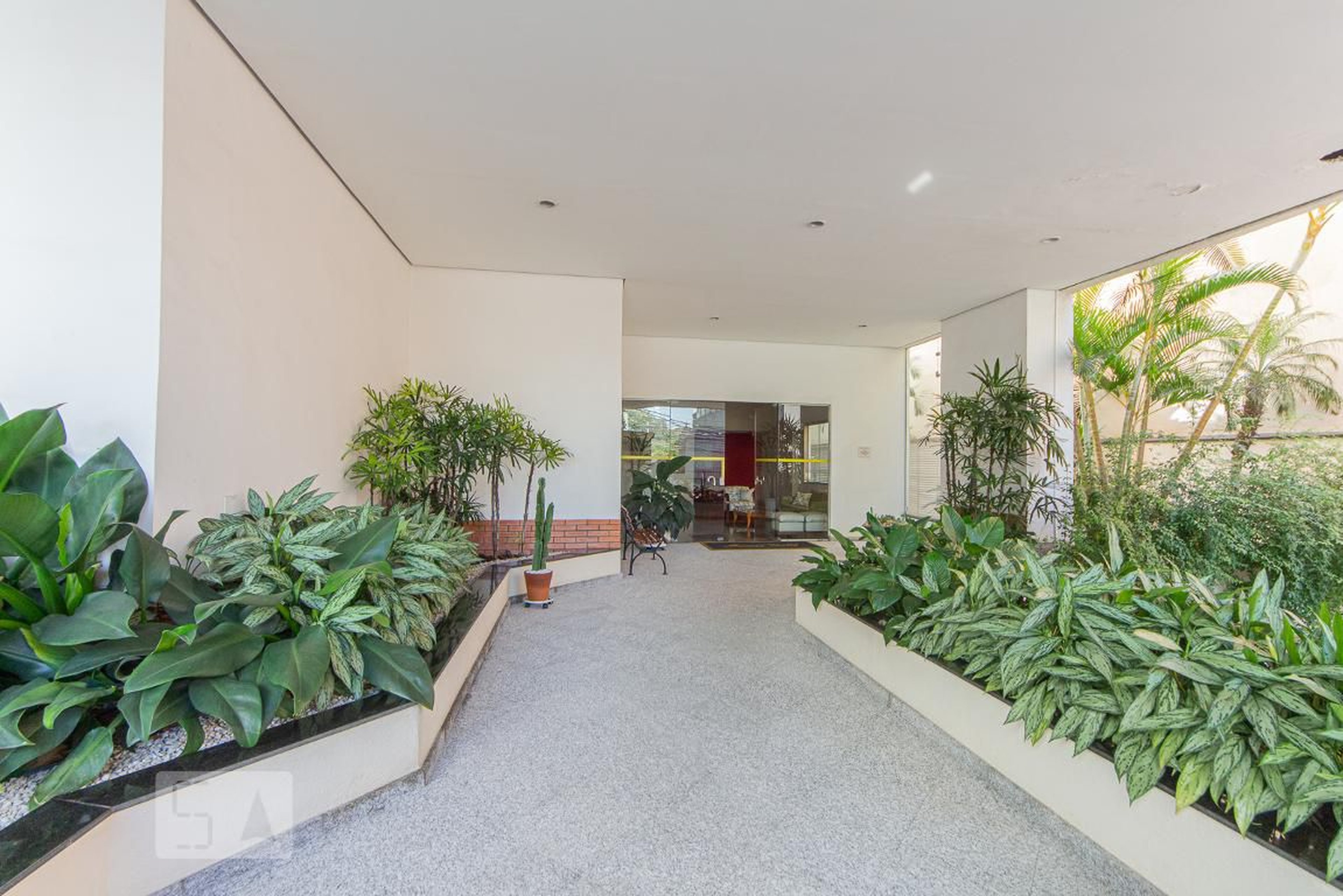 Entrada - Miami Gold