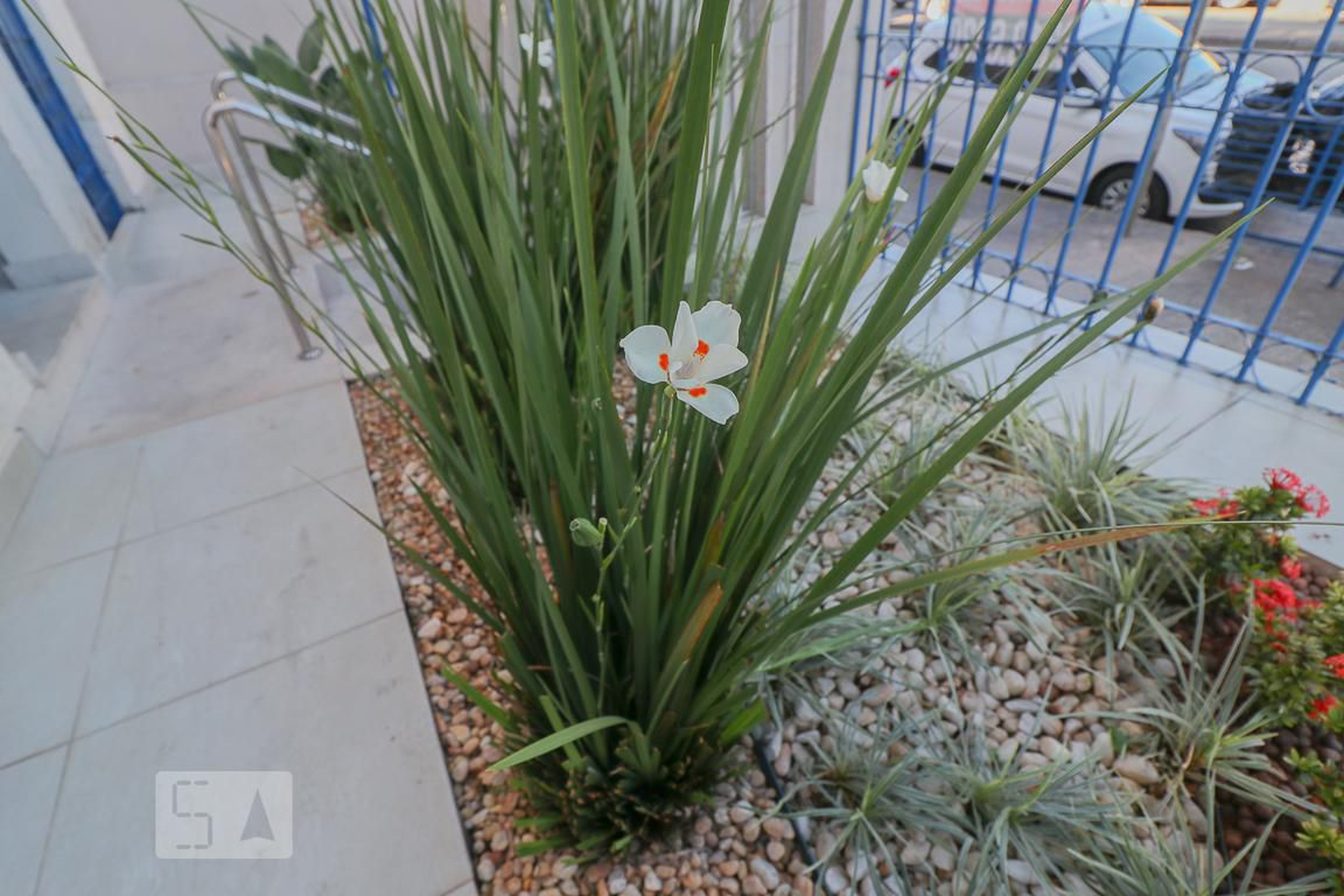 Hall - Edifício Maria Vitta Beraldo