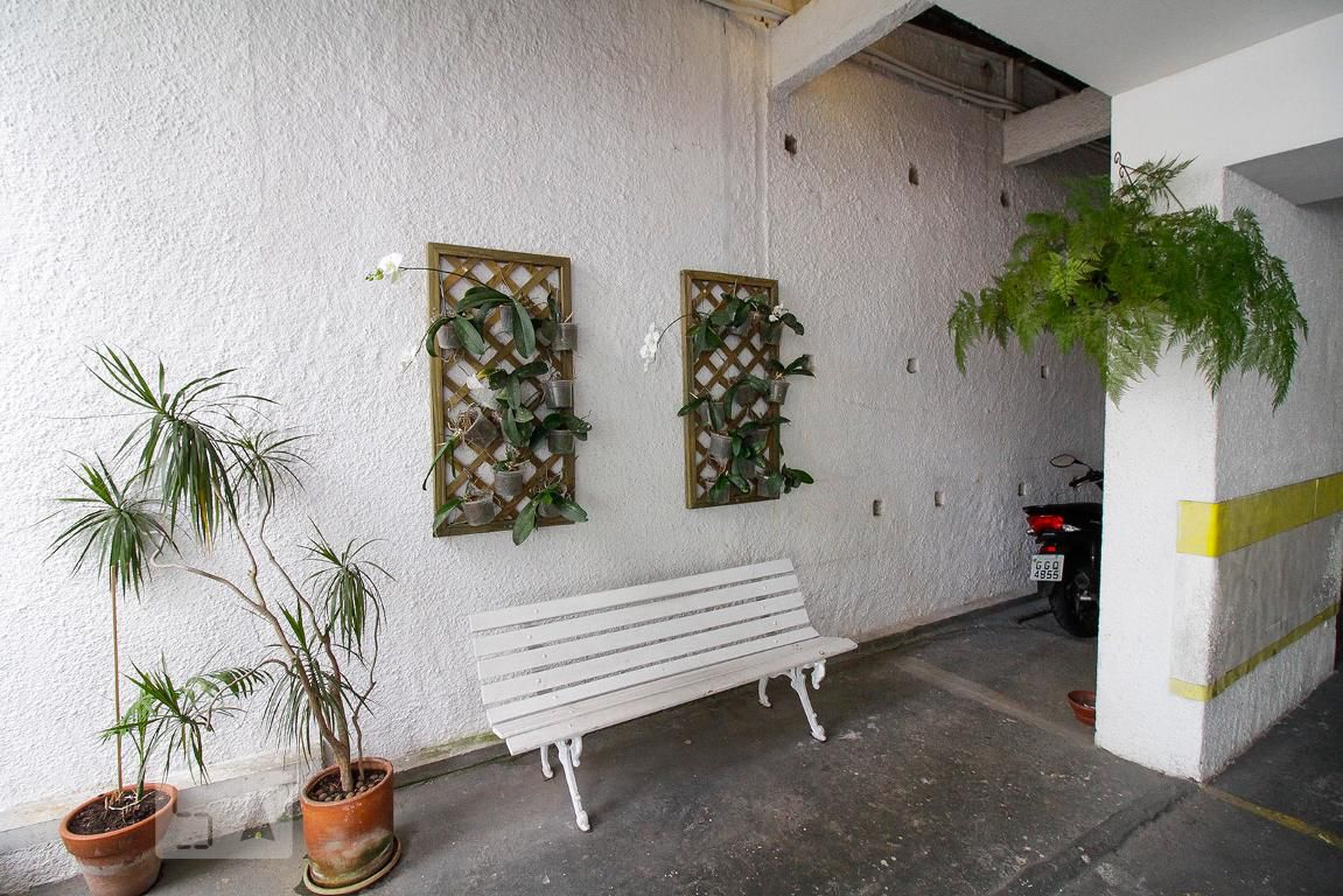 Entrada - Barbara Heliodora