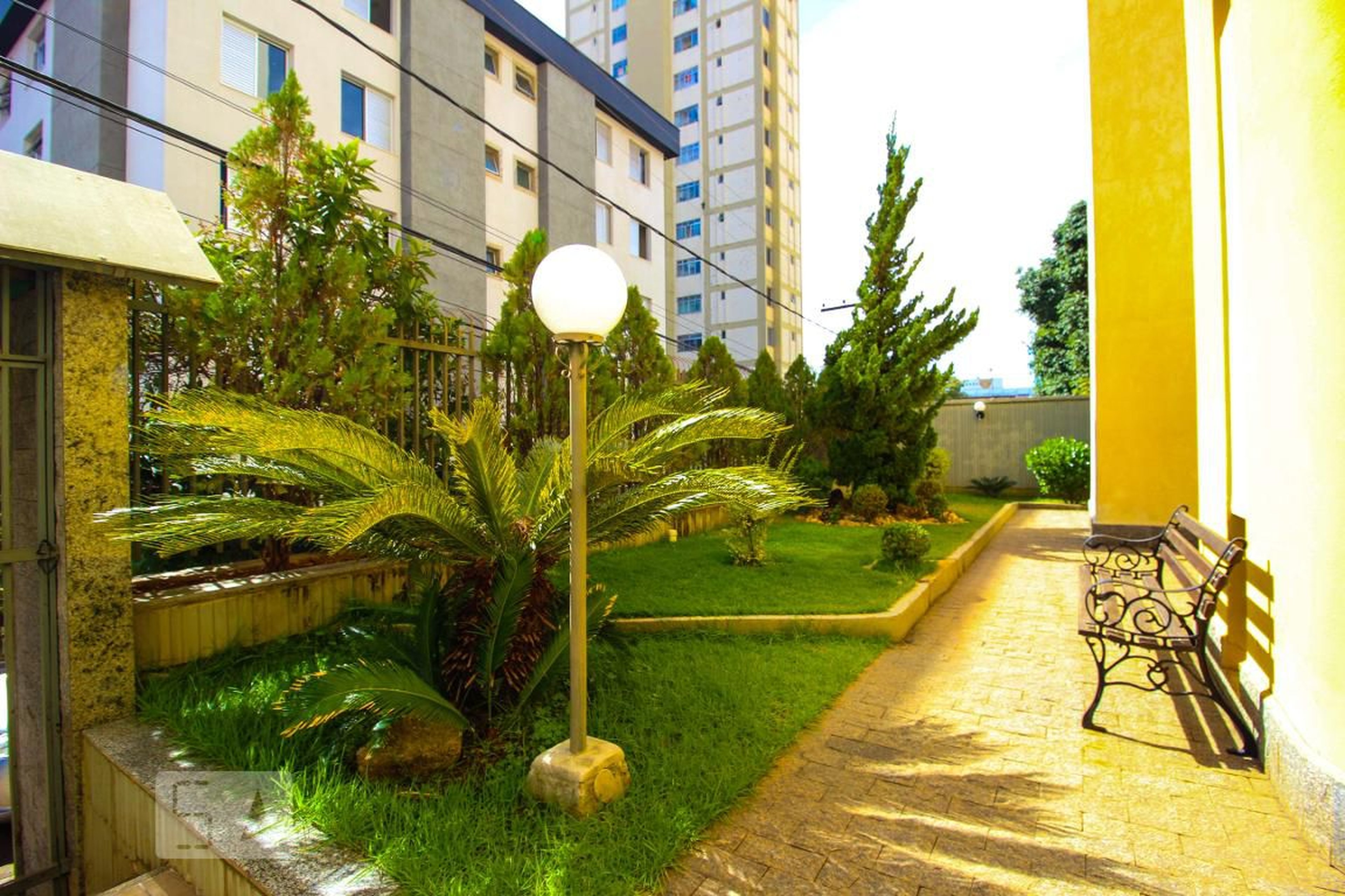 Área Externa - Ribeiro Pena