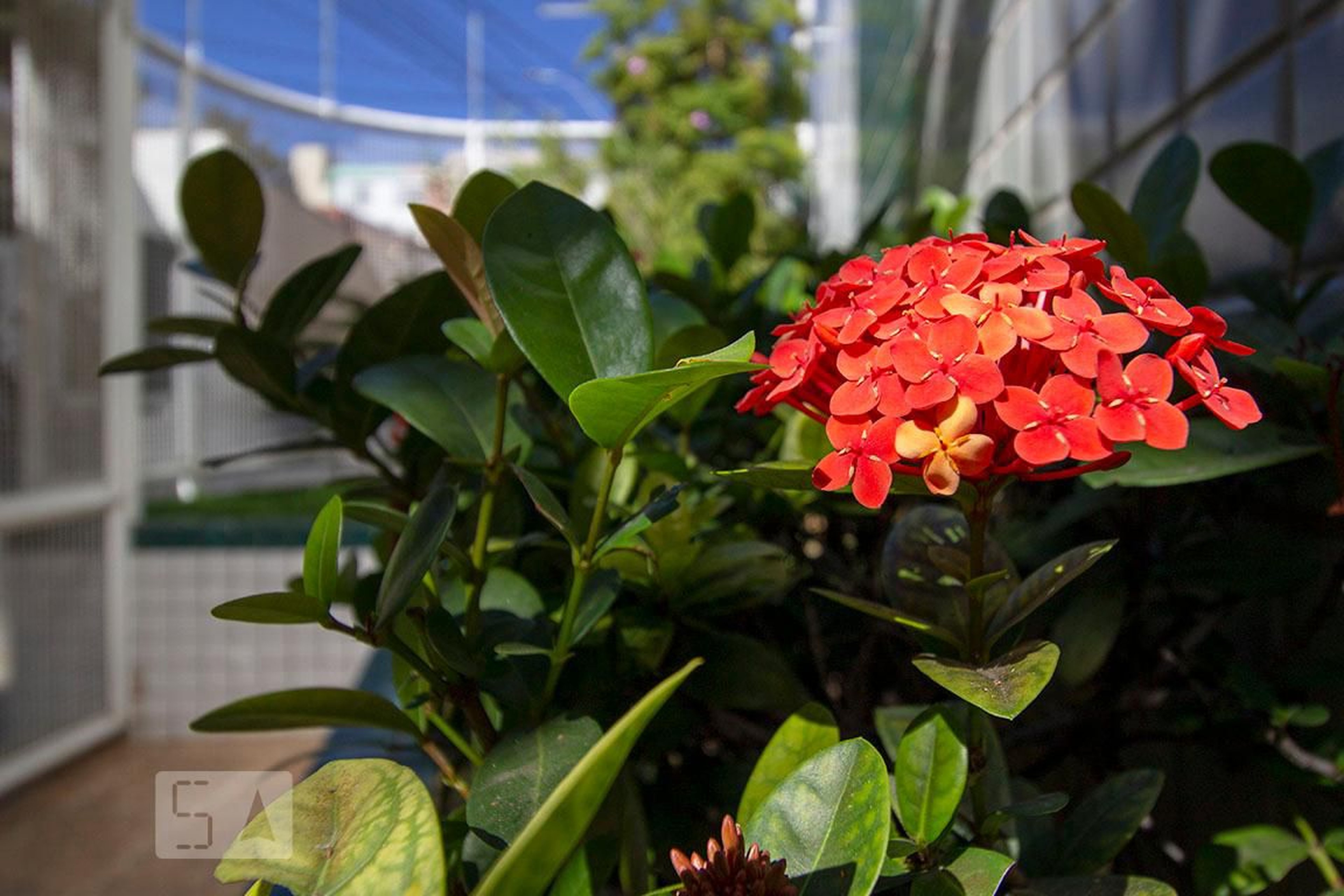 Entrada - Edifício Santo Antônio