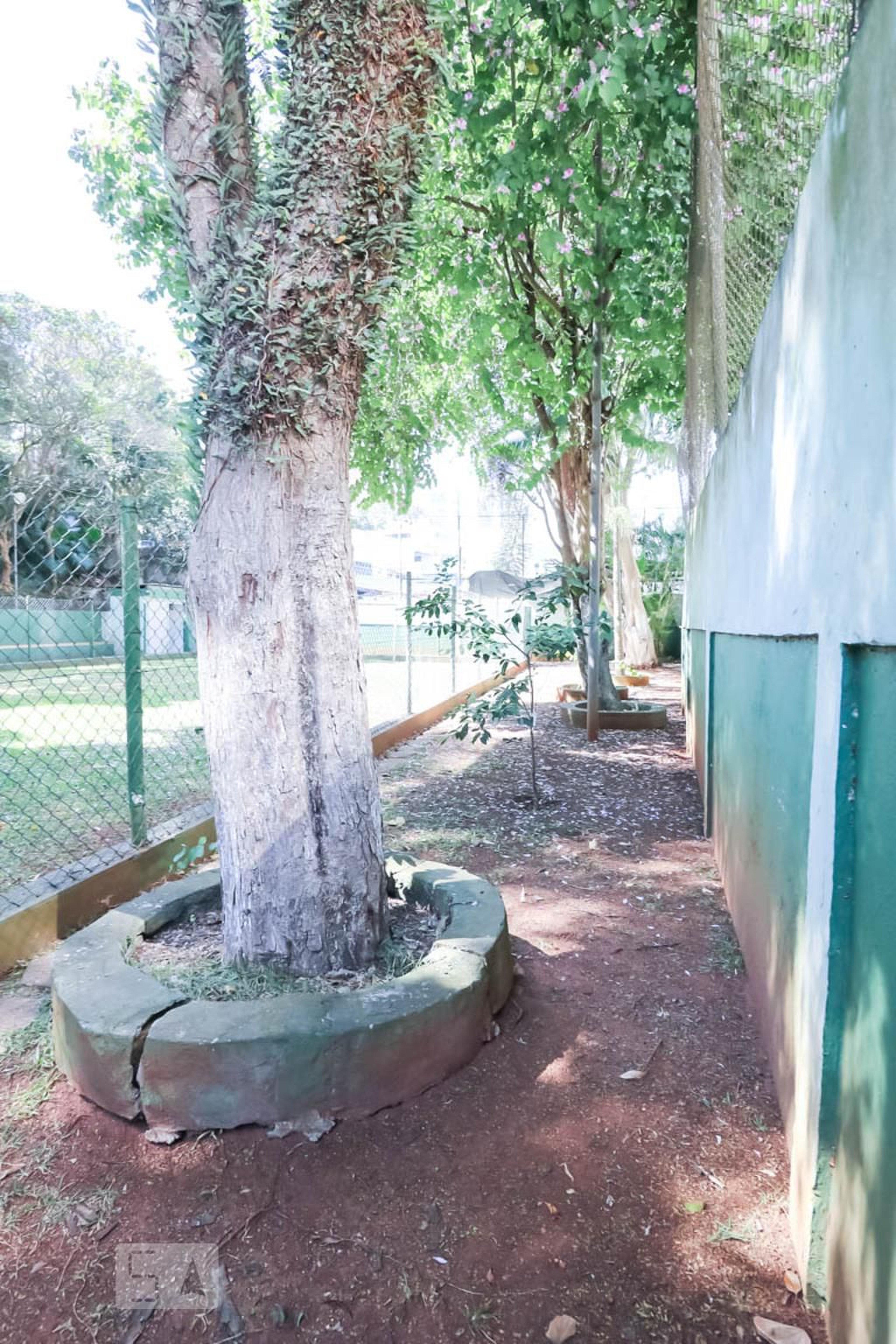 Espaço Pet - Cabo São Tomé