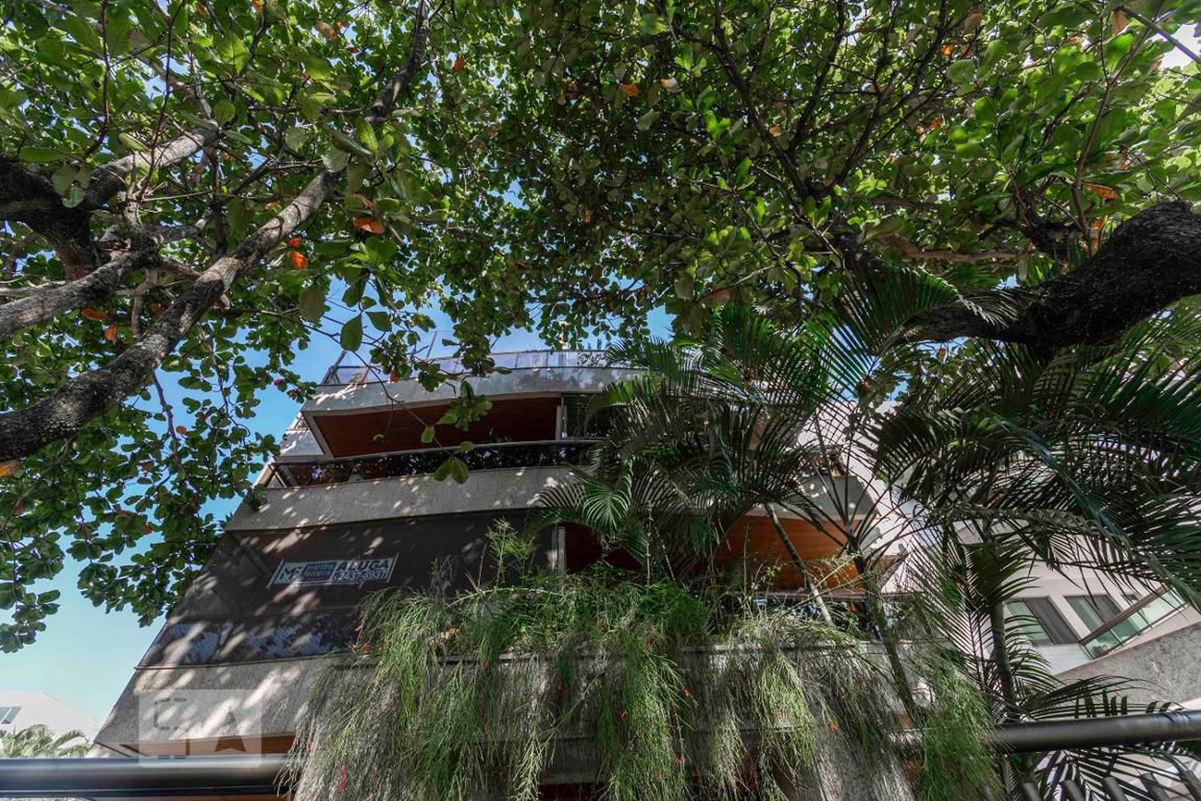 Fachada Edifício Cecília