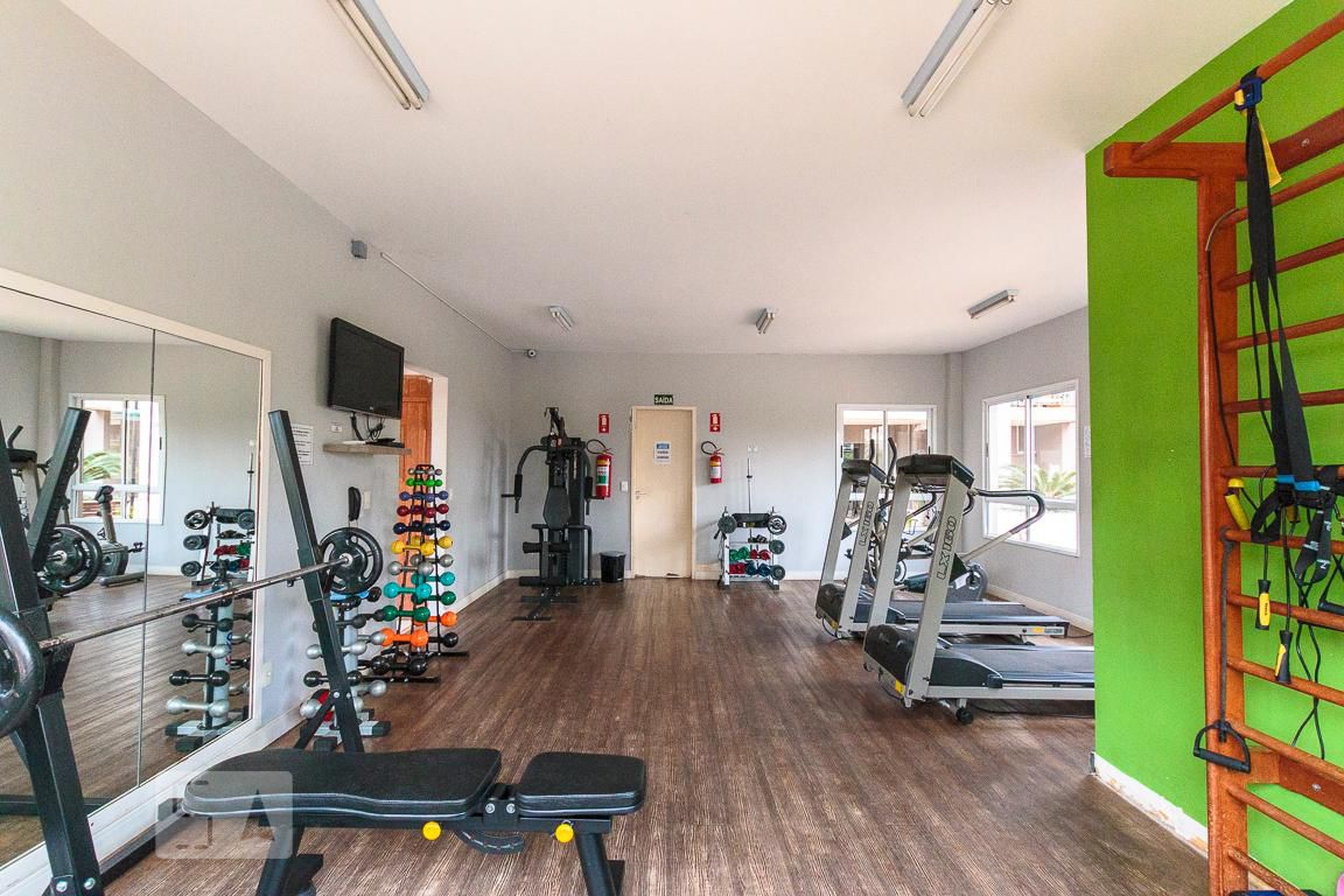 Academia - Summer Dream