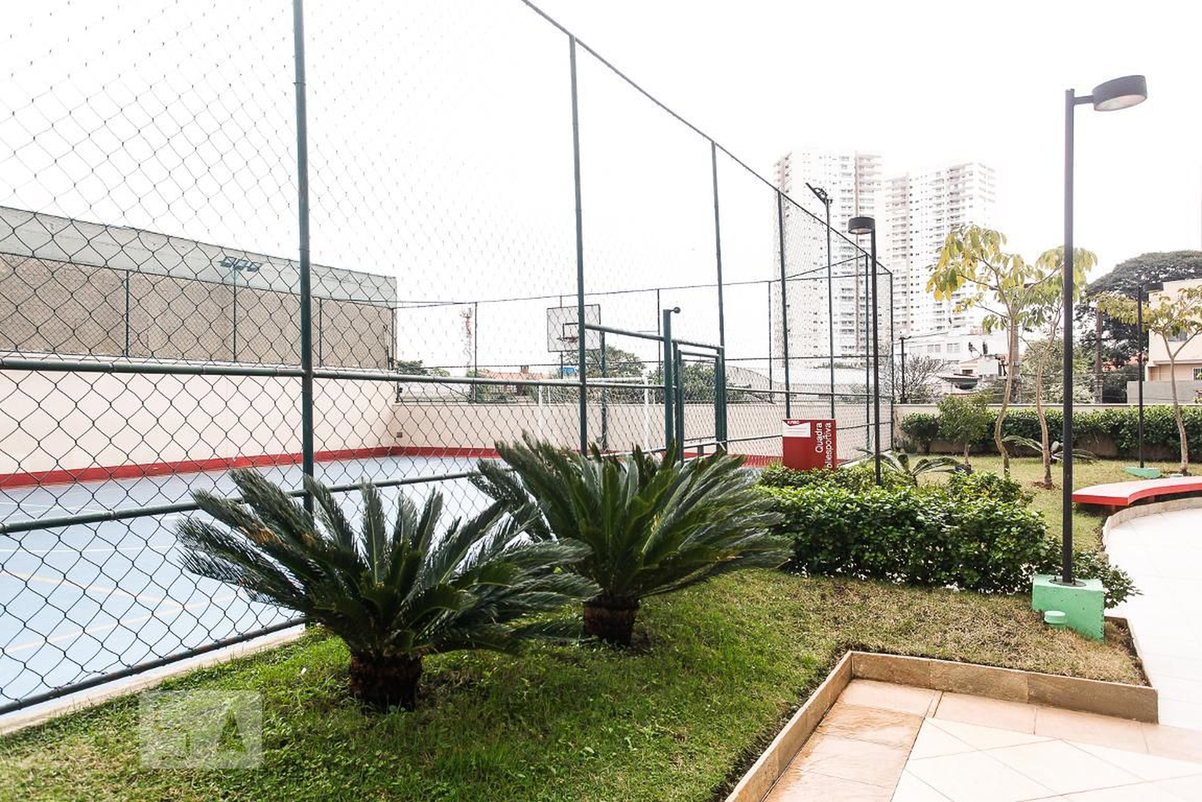 Quadra Esportiva - Suprema