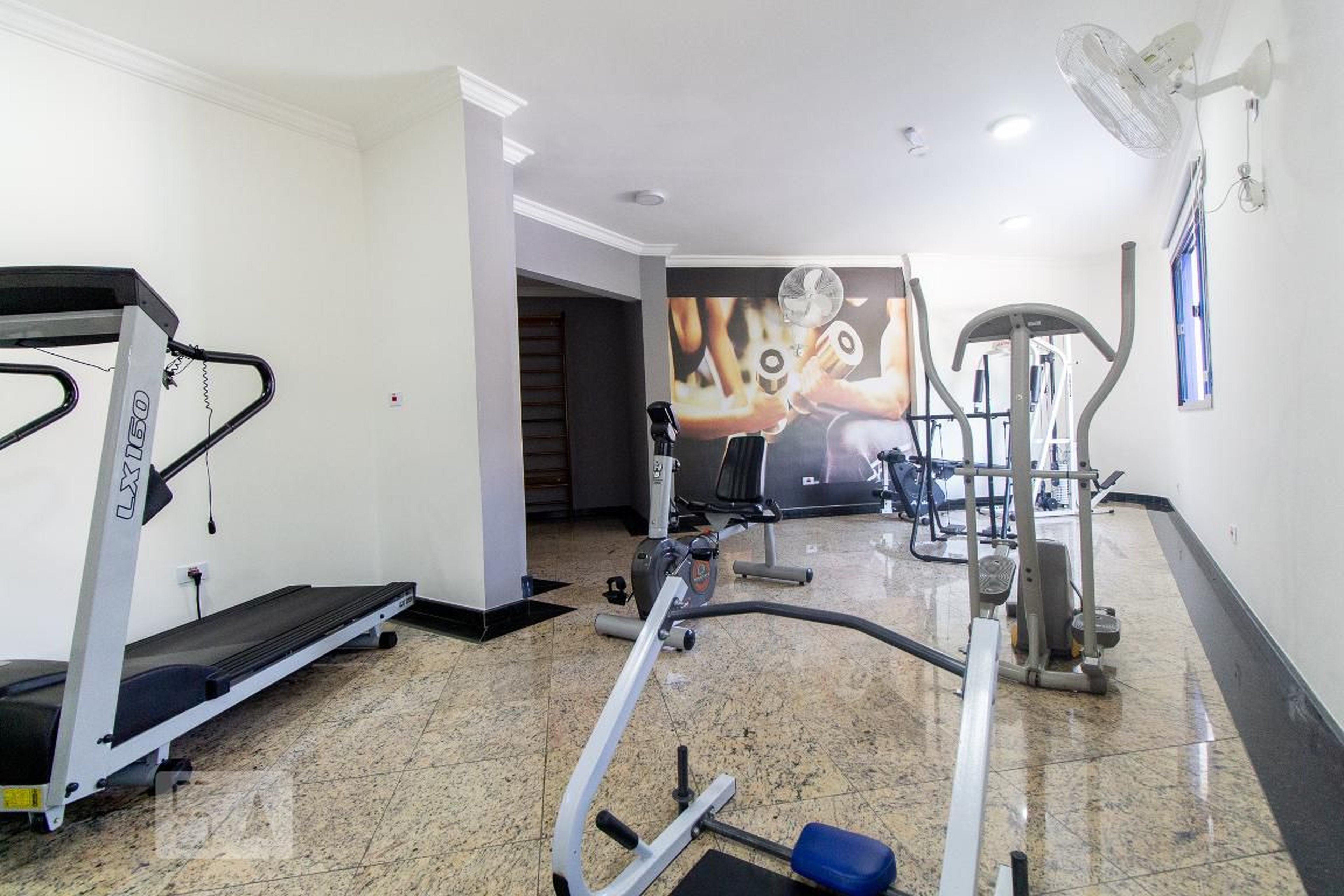 Academia - Rainha Elizabeth