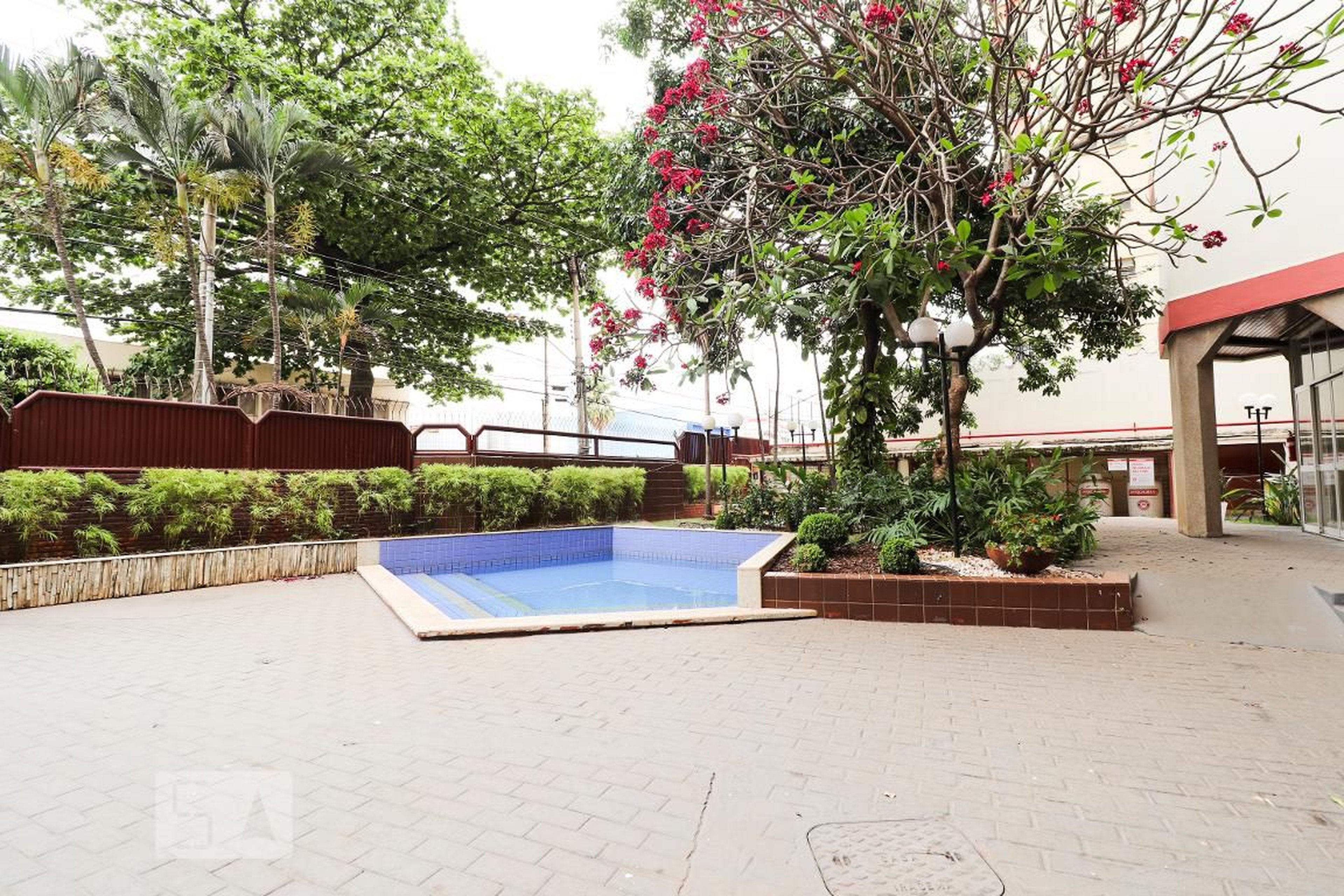 Piscina Infantil - Léo Lince